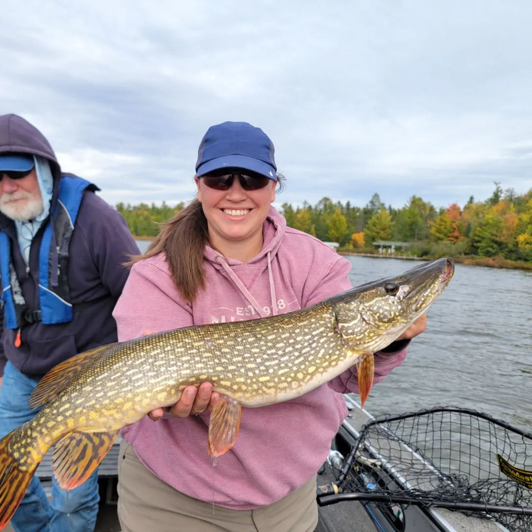 Northern pike caught on Fishbrain