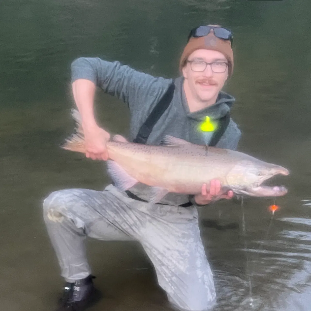 Chinook salmon caught on Fishbrain