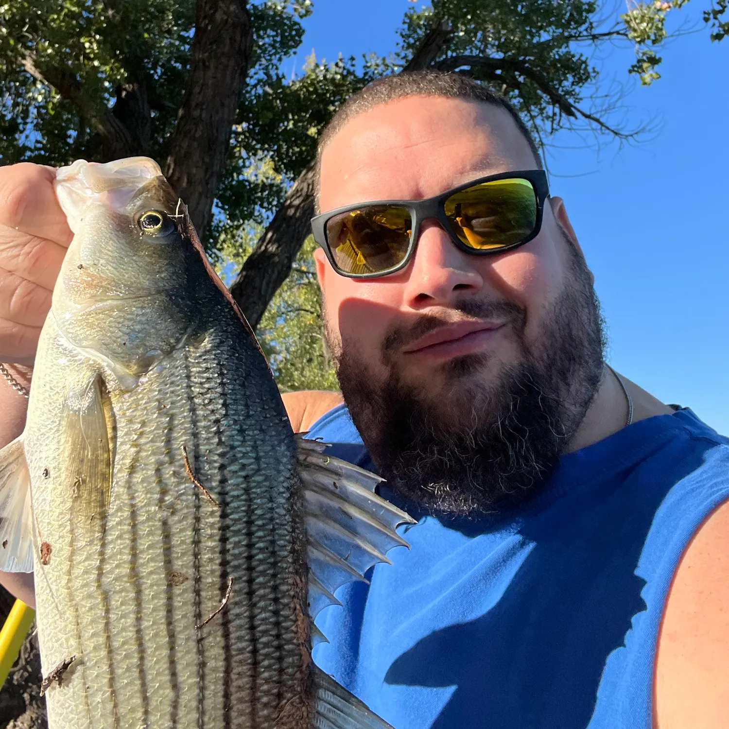 Wiper caught on Fishbrain