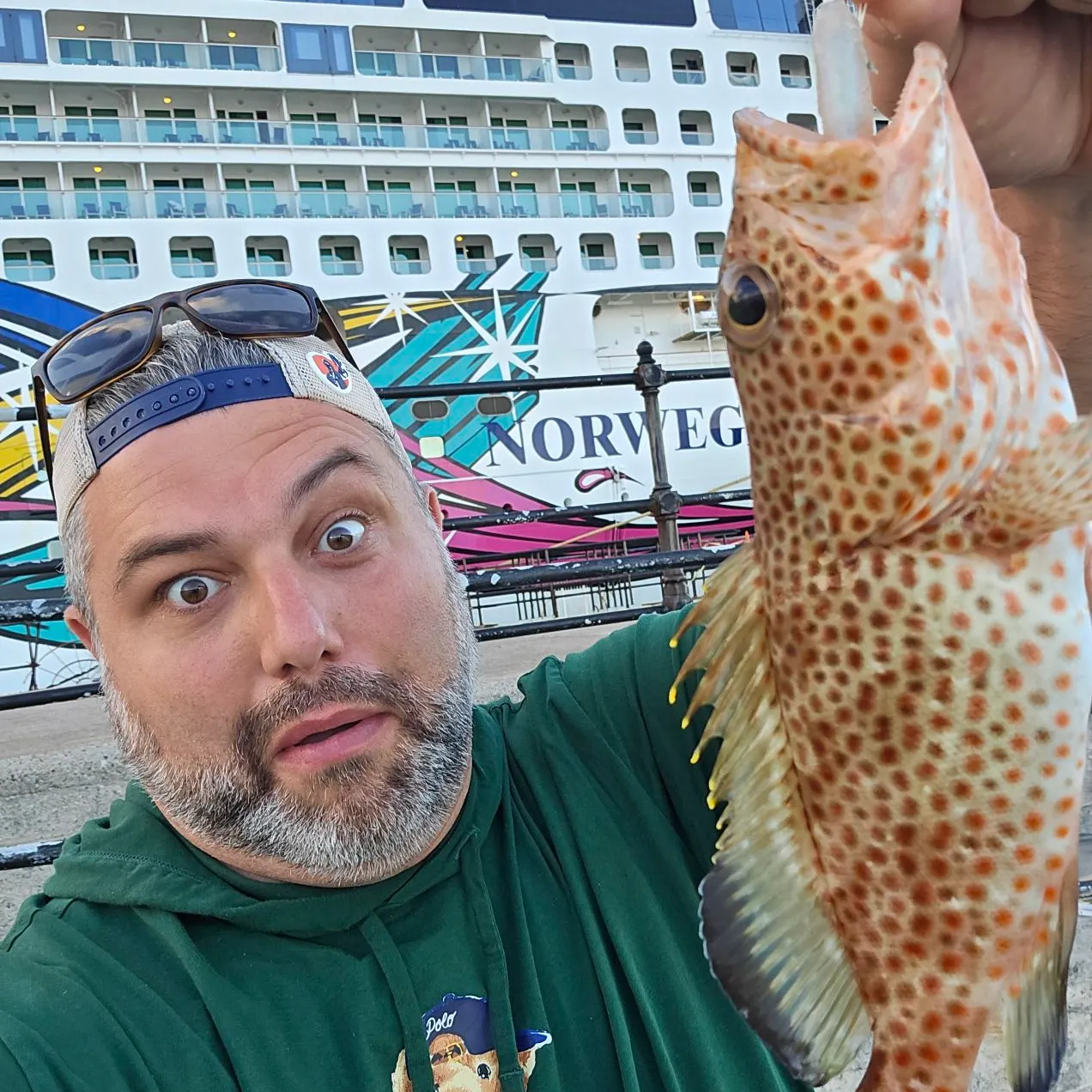 The most recent Red hind grouper catches on Fishbrain
