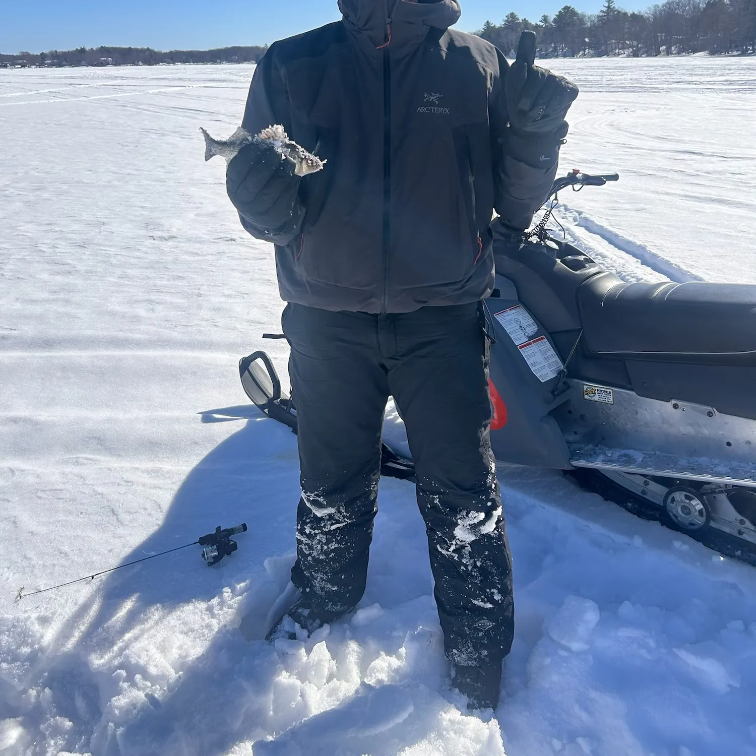 The most recent White perch catches on Fishbrain