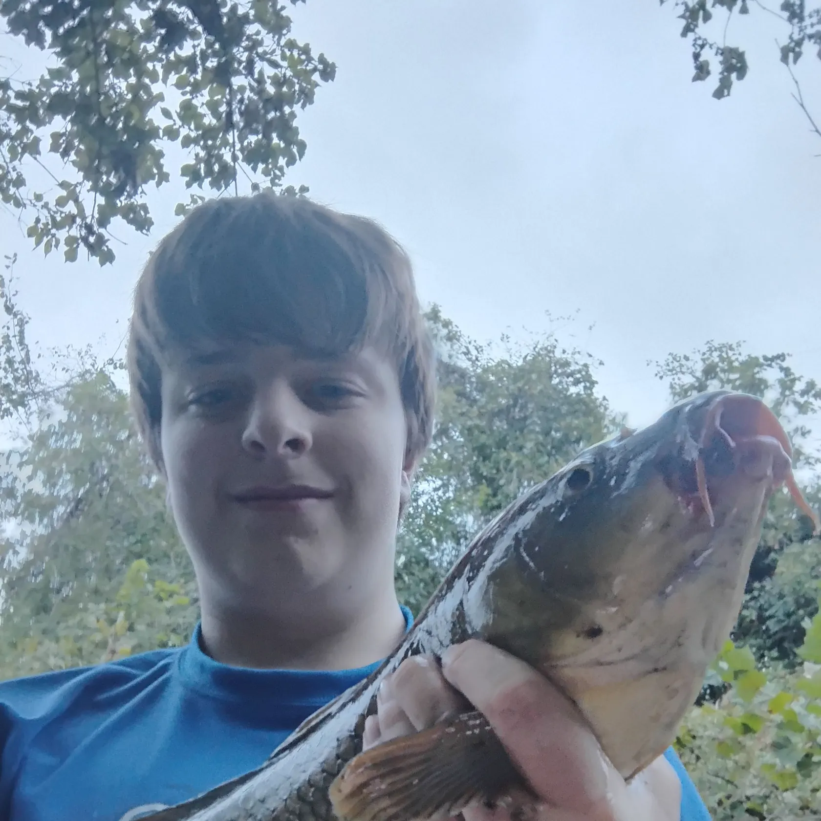 Common carp caught on Fishbrain