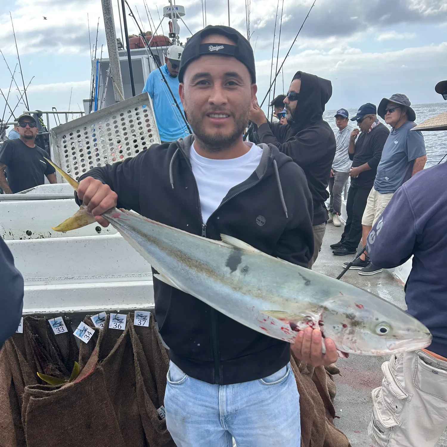 California yellowtail amberjack caught on Fishbrain
