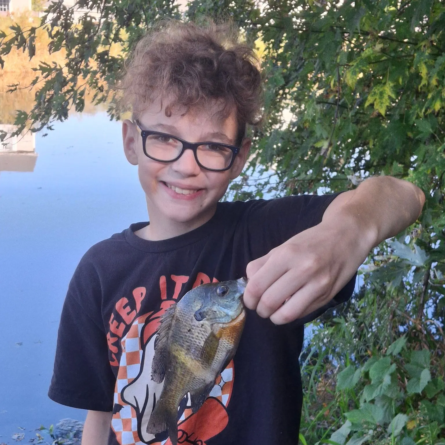 Bluegill caught on Fishbrain