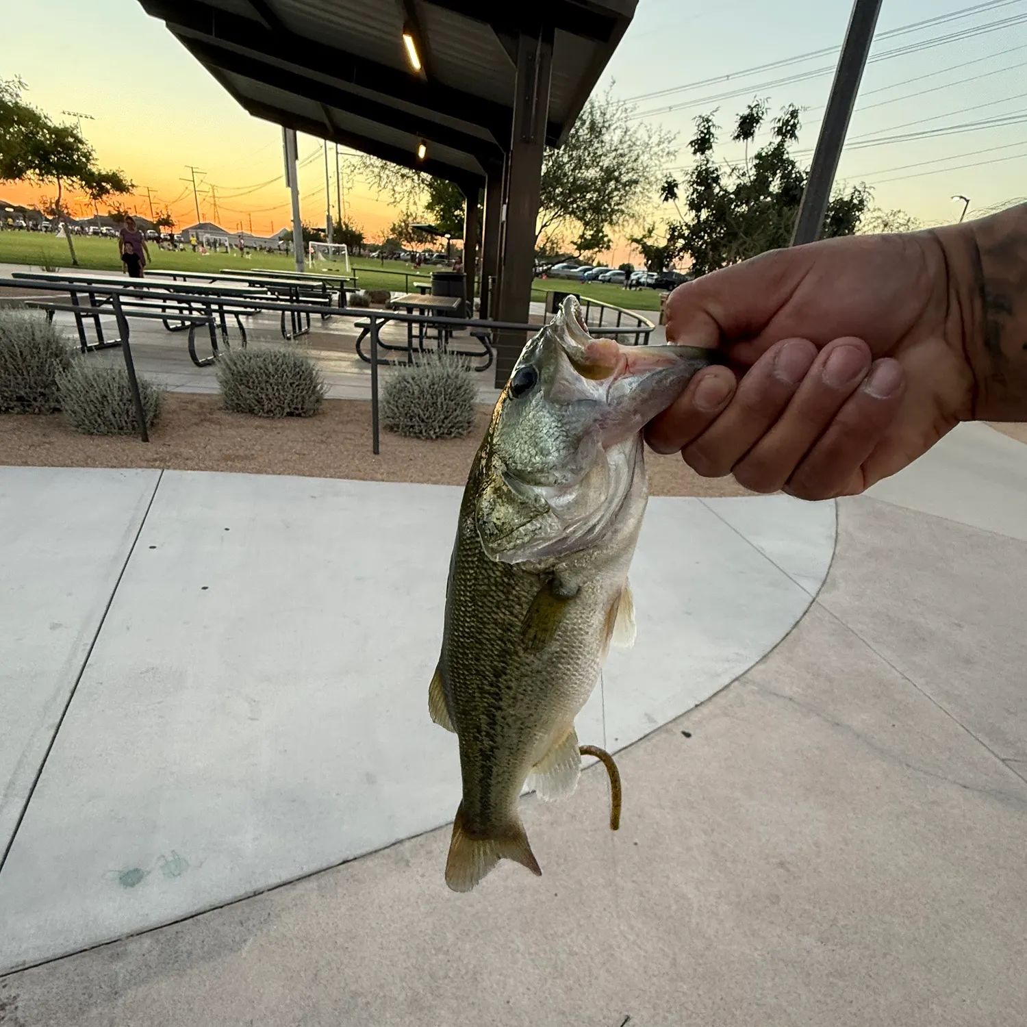 catch