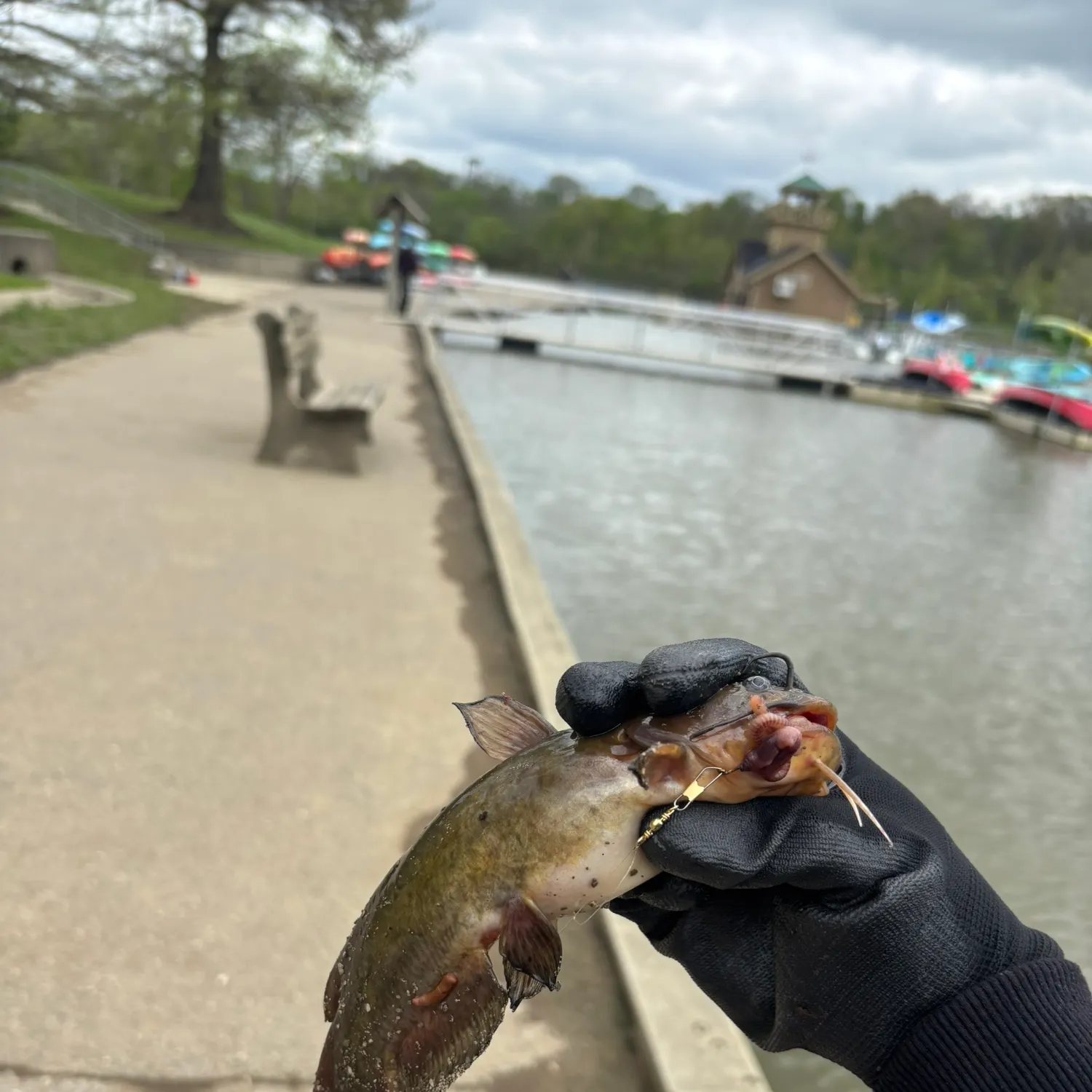 catch