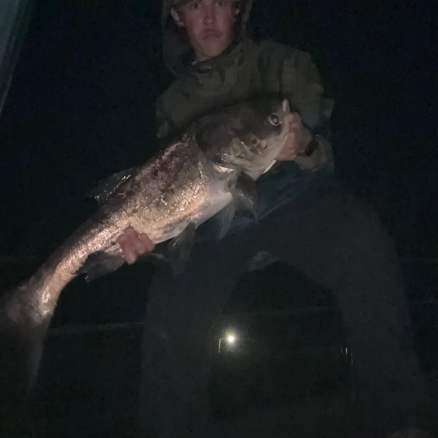 The most recent Bighead carp catches on Fishbrain