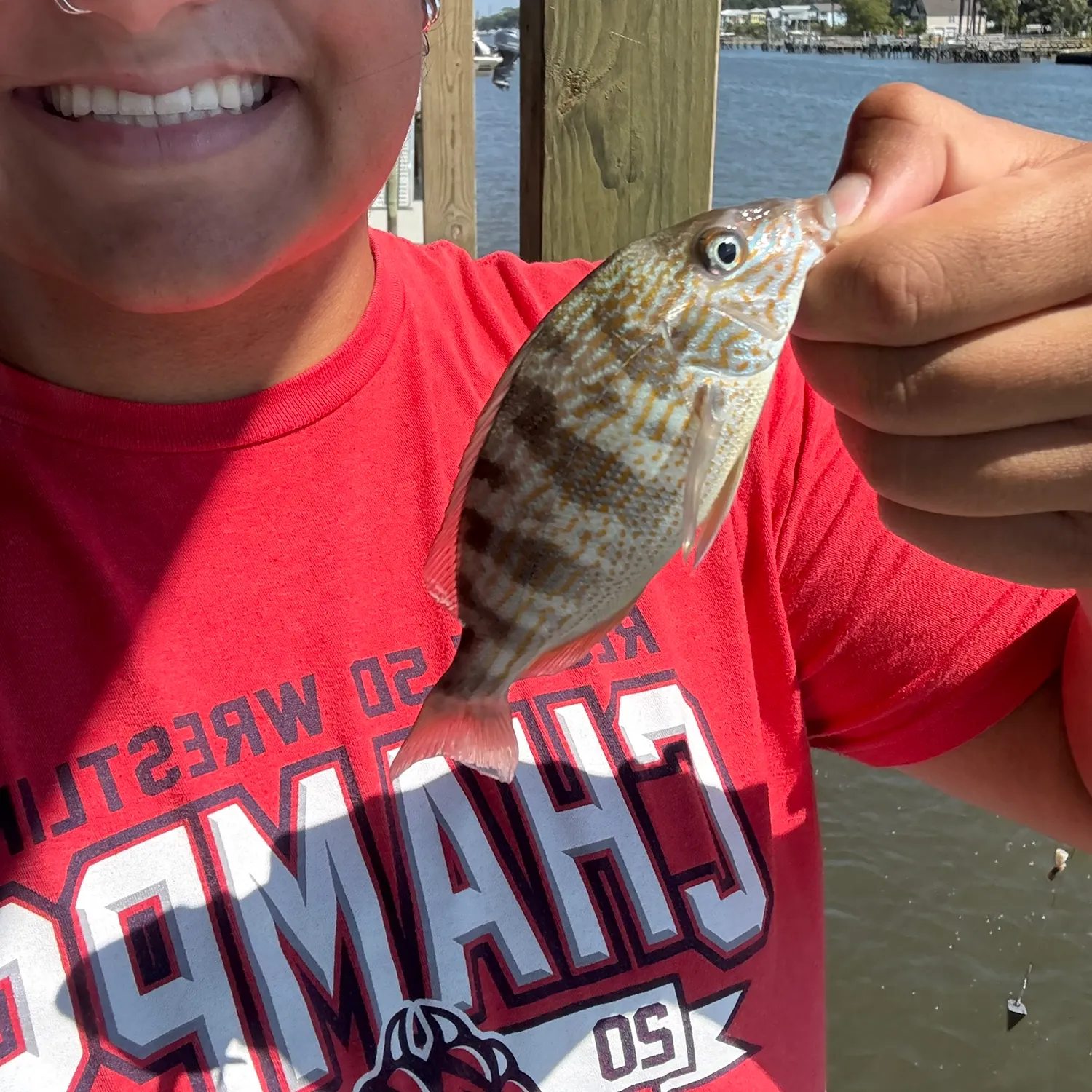 The most recent Pinfish catches on Fishbrain