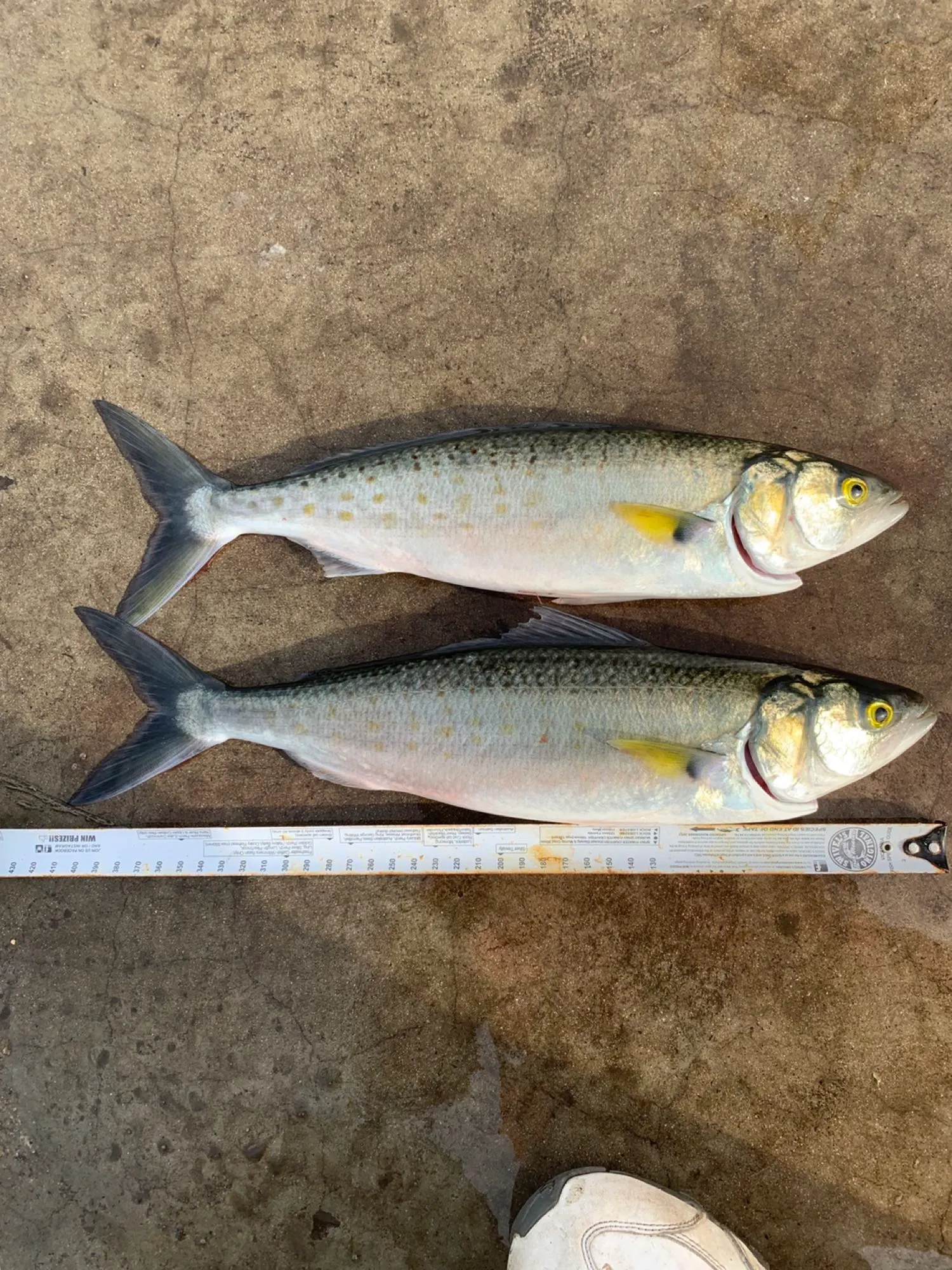 Post image from ayildirim1984