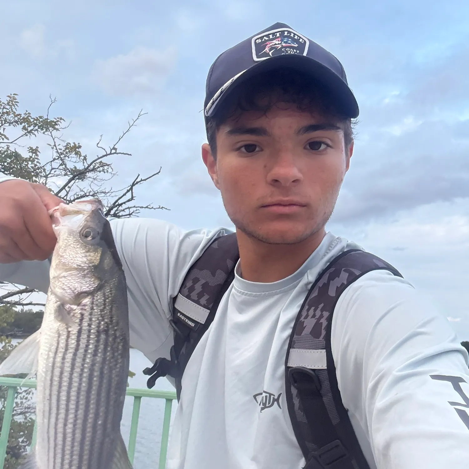 Striped bass caught on Fishbrain