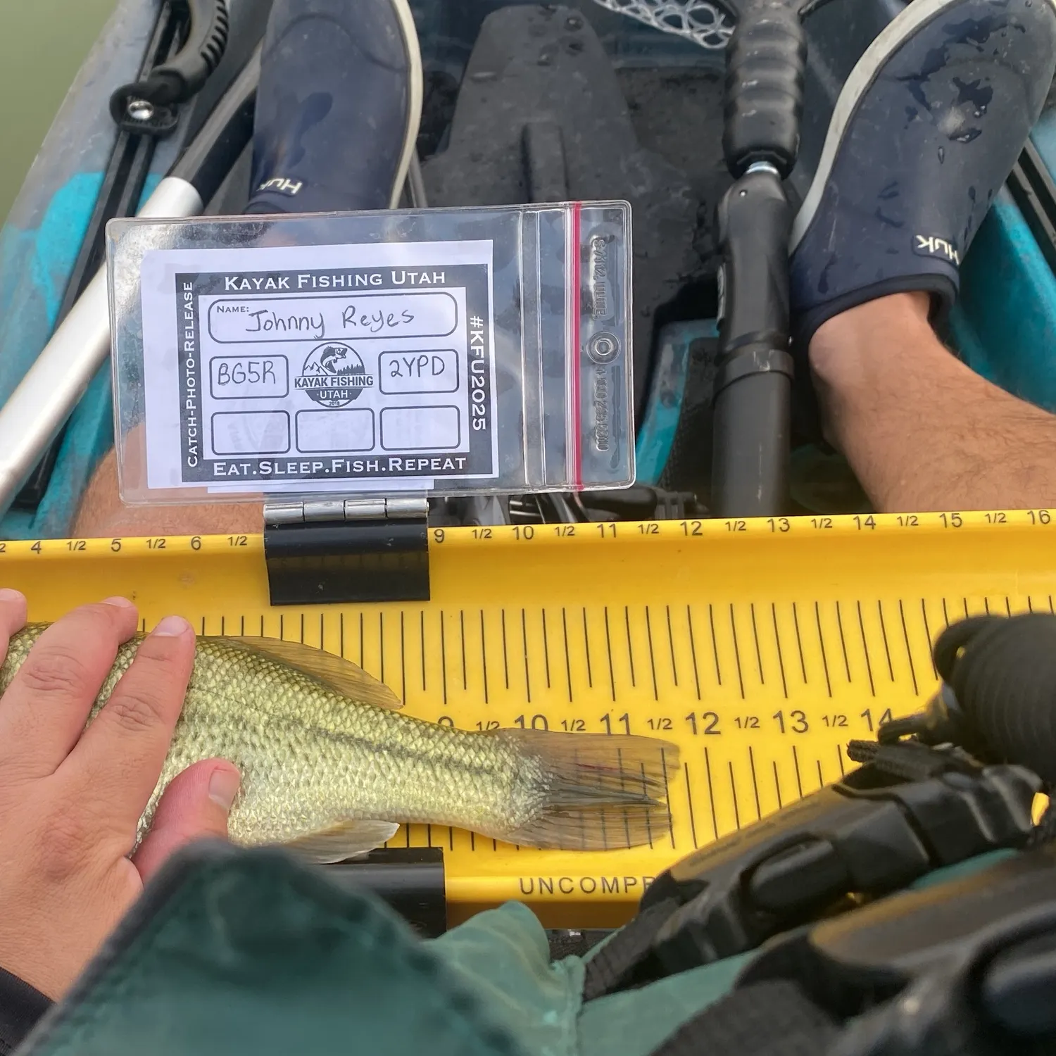 recently logged catches