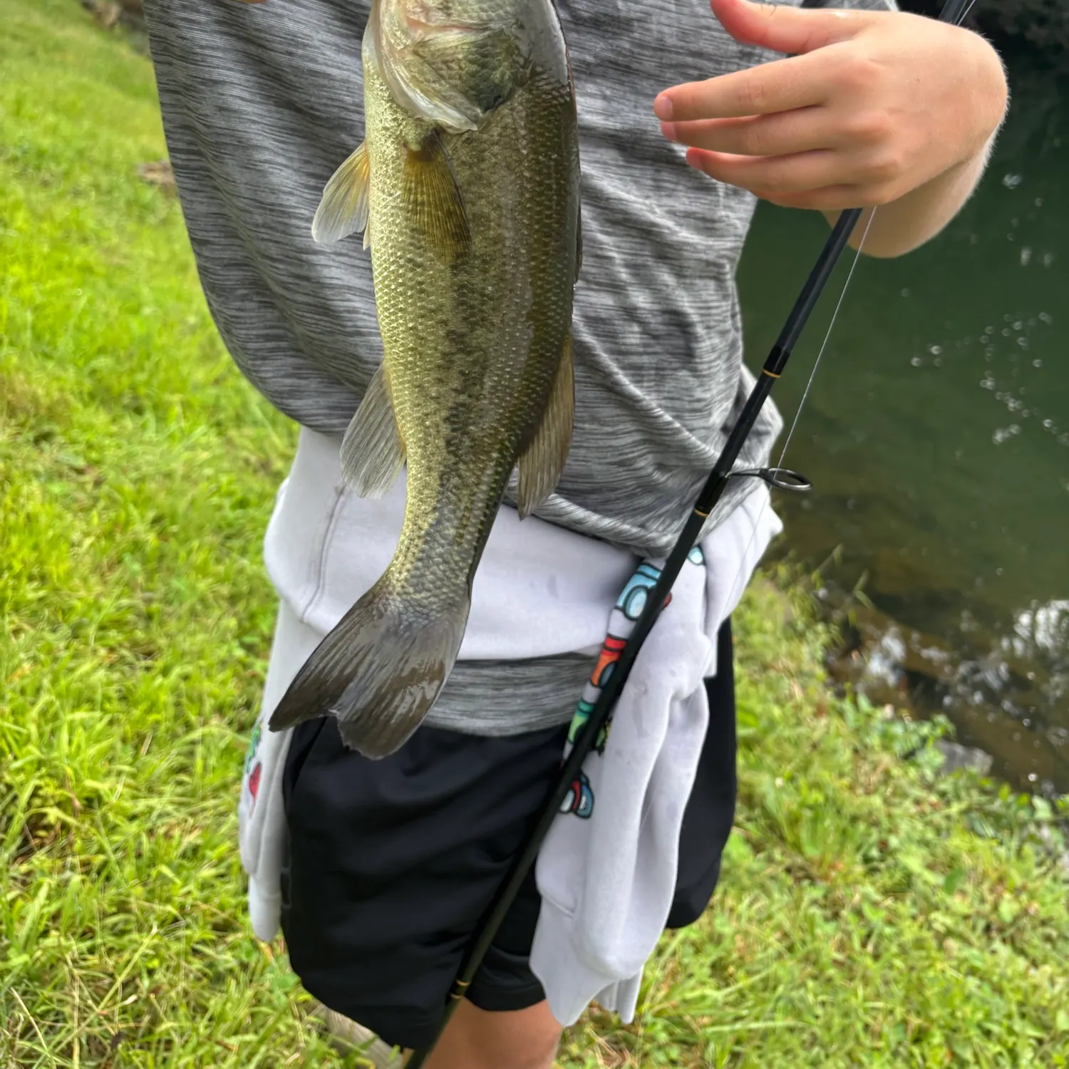 Largemouth bass caught on Fishbrain