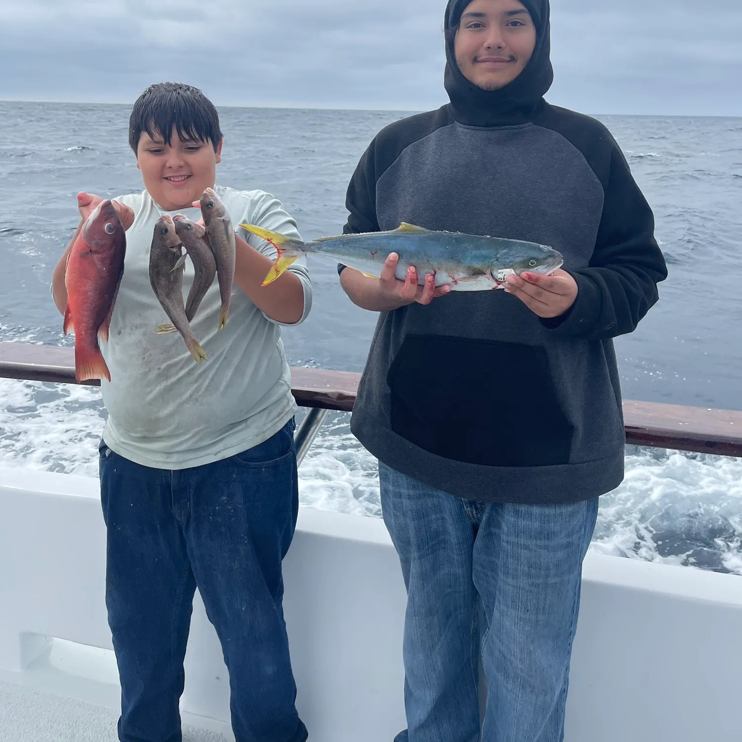 The most recent California yellowtail amberjack catches on Fishbrain