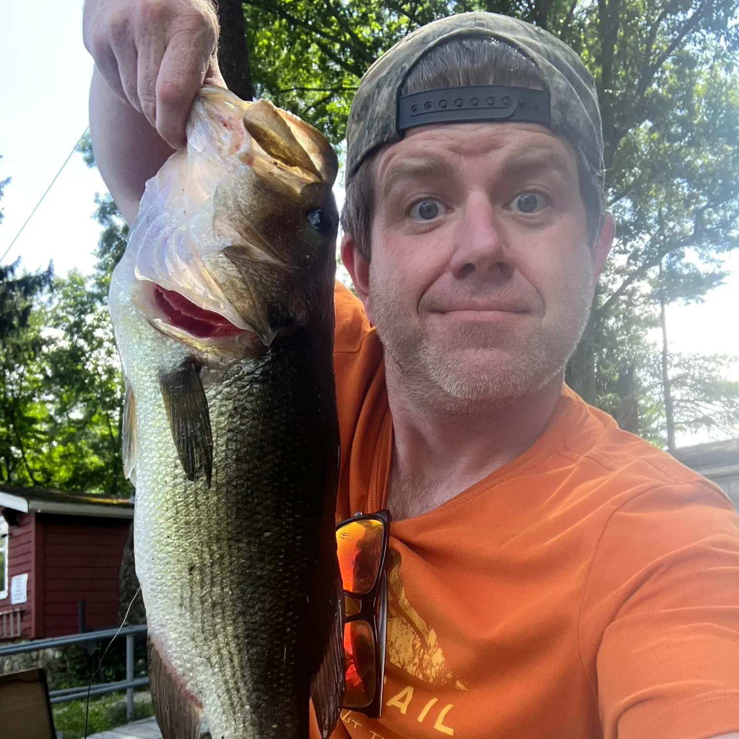 Largemouth bass caught on Fishbrain
