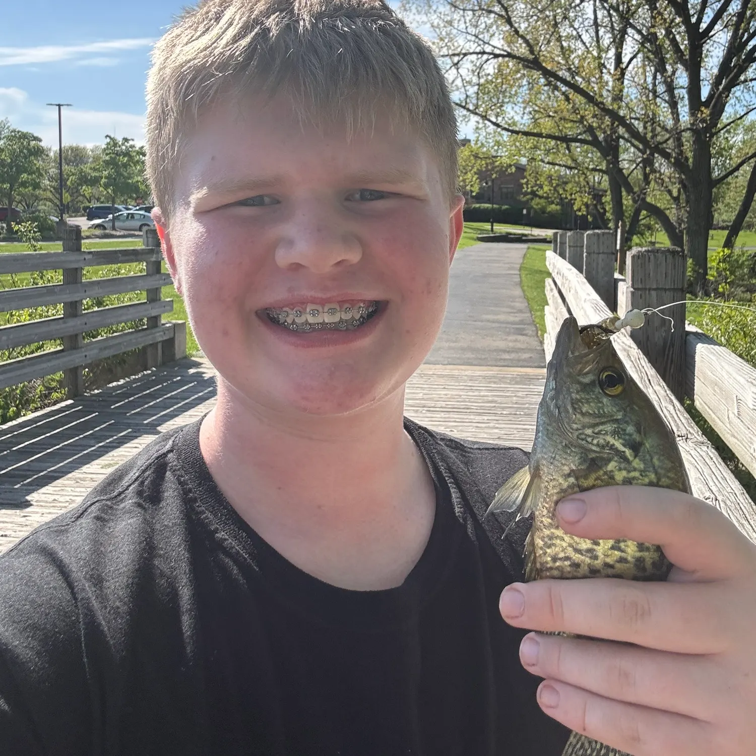 The most recent Grass pickerel catches on Fishbrain
