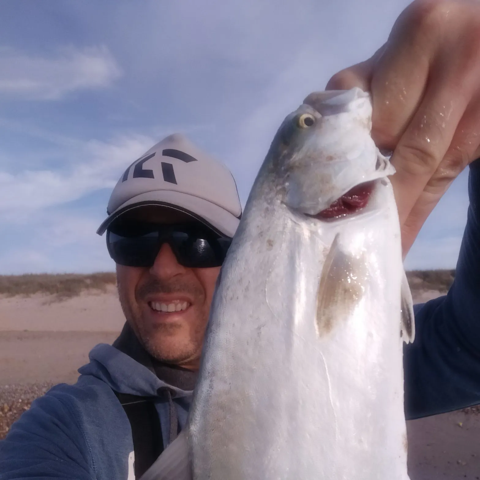 The most recent Leerfish catches on Fishbrain