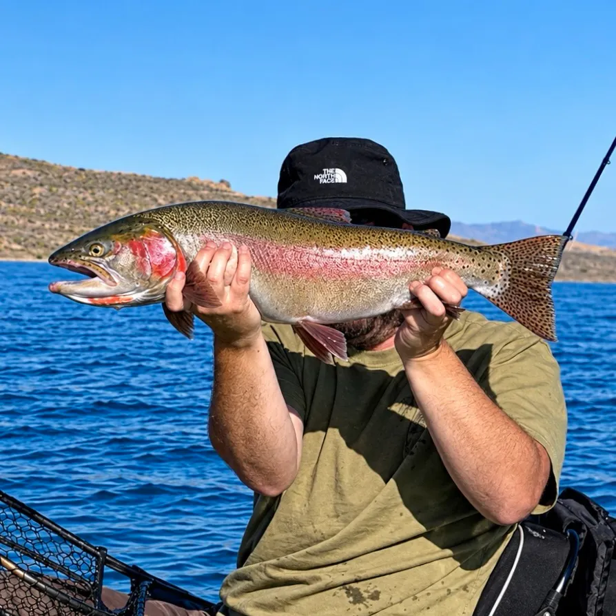 Lahontan cutthroat trout caught on Fishbrain