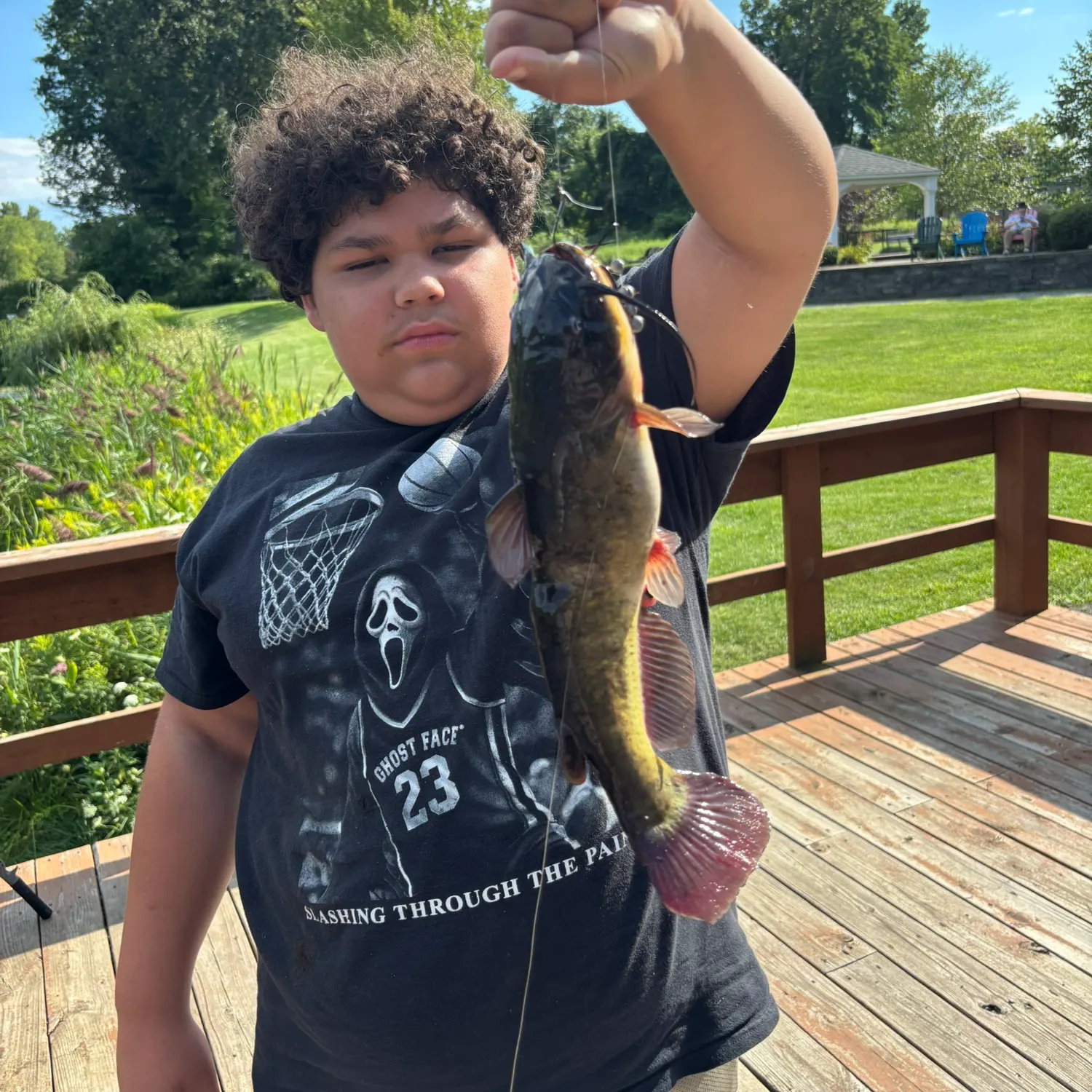 Black bullhead caught on Fishbrain