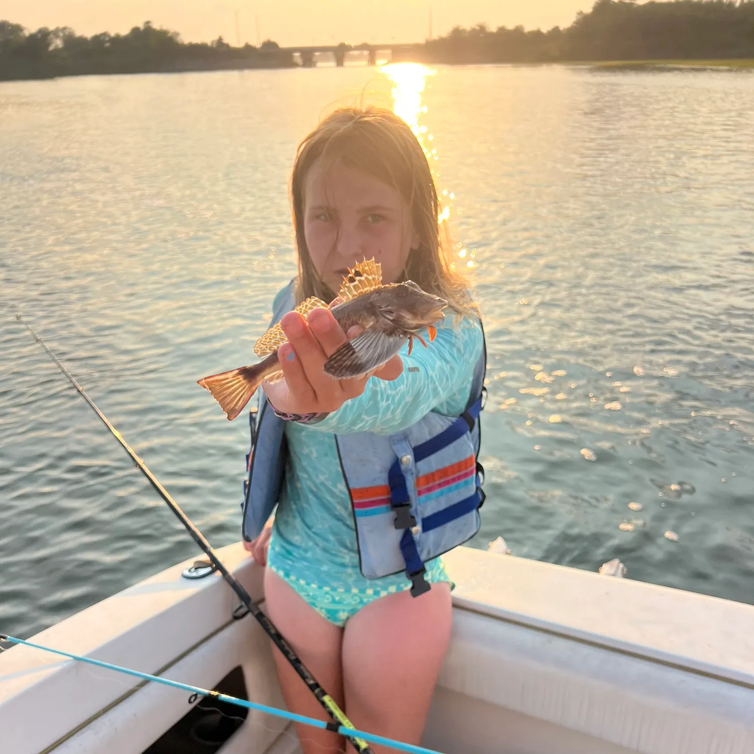 The most recent Lumptail searobin catches on Fishbrain
