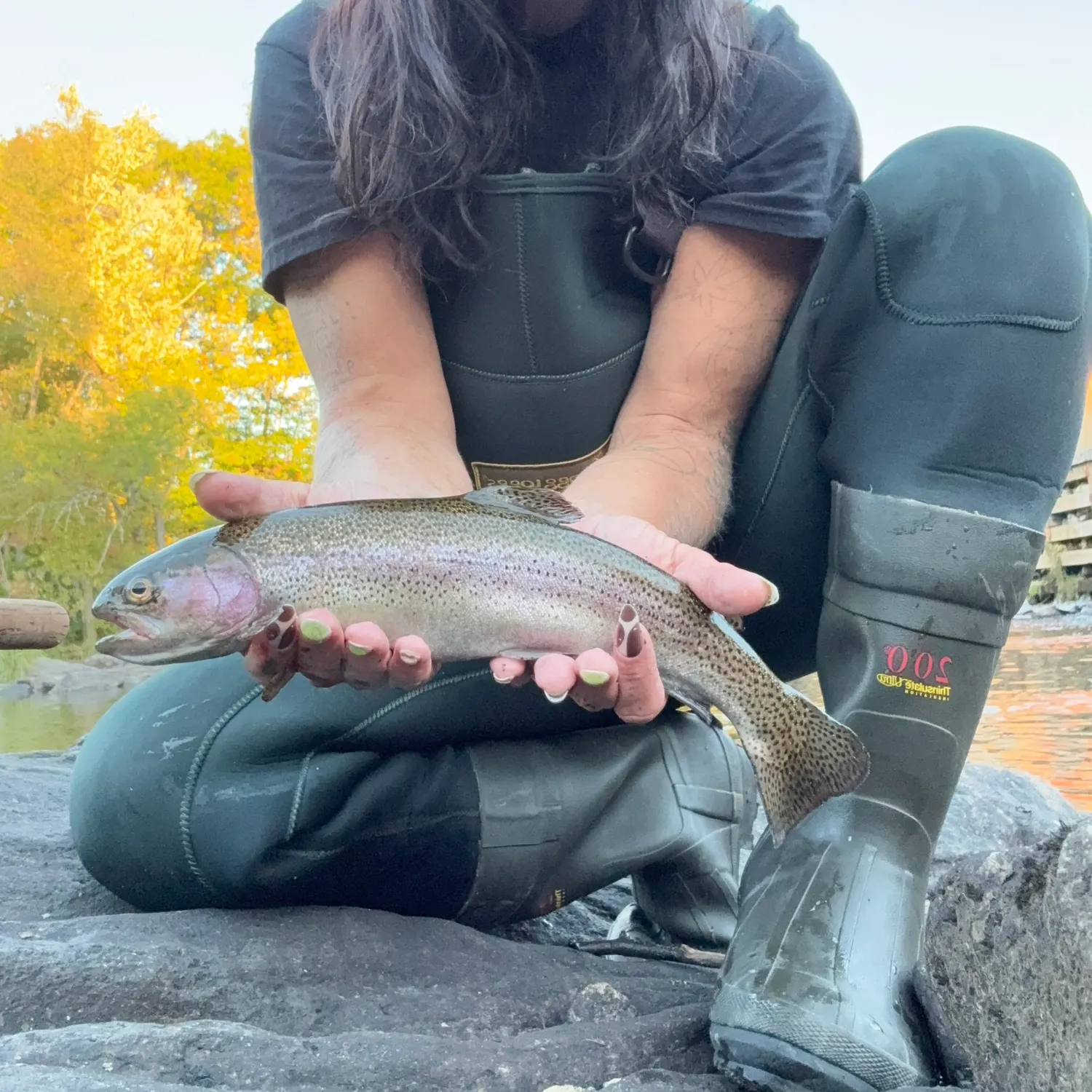 Rainbow trout caught on Fishbrain