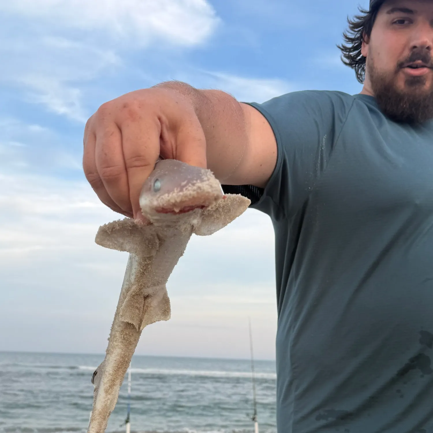 Whiting caught on Fishbrain