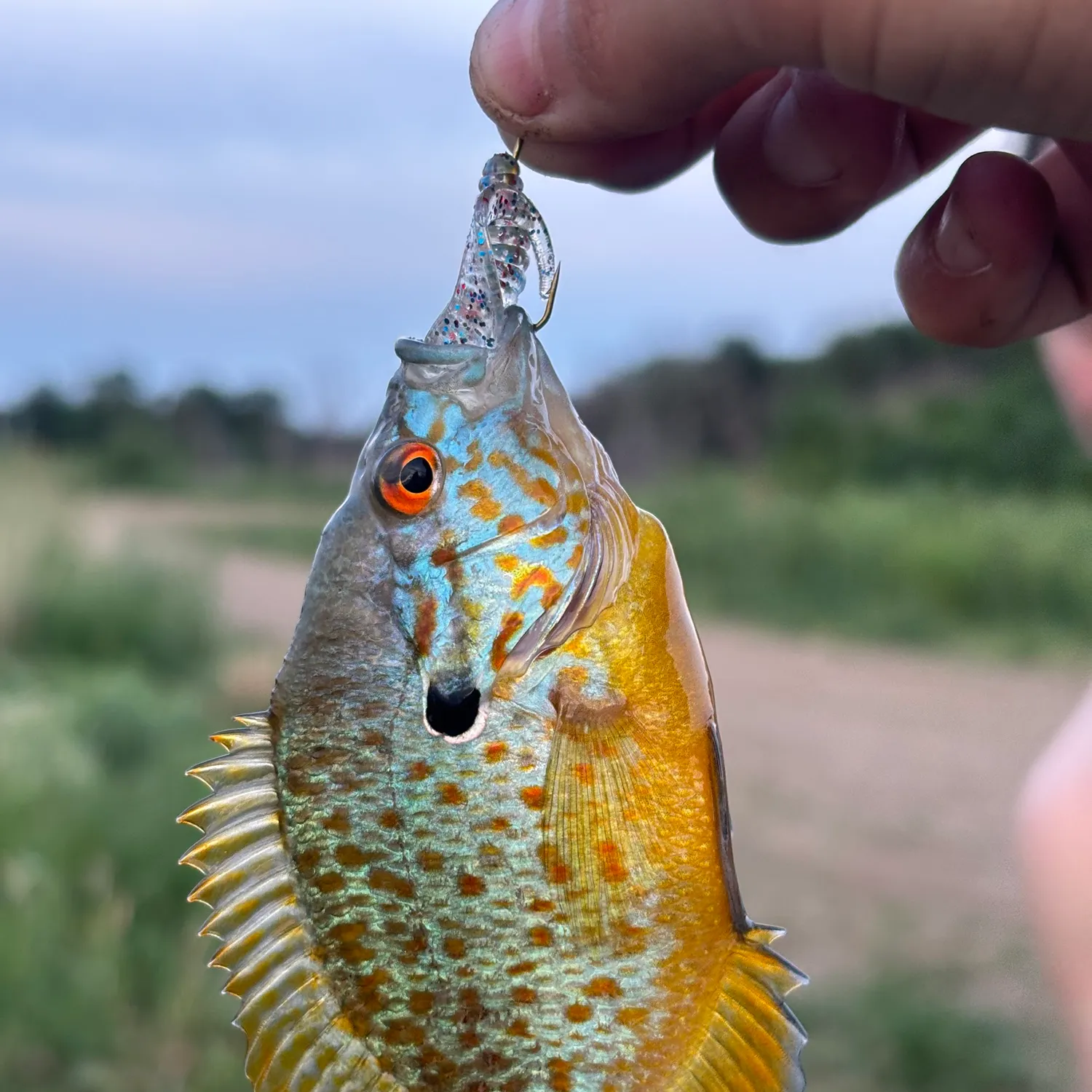Fishing in Sioux Falls, SD (United States) ️️️️ Find Spots, Species & Tips