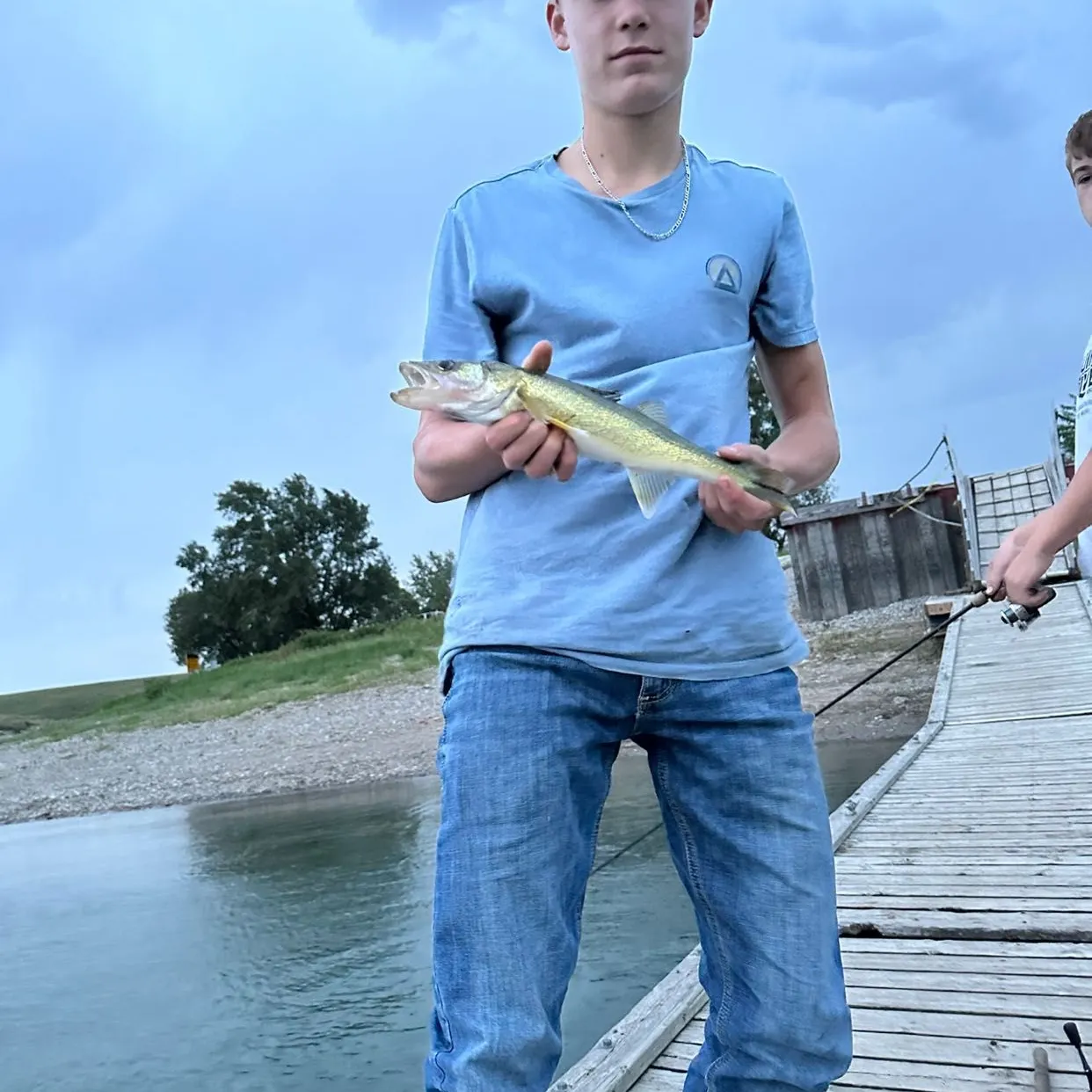 Walleye caught on Fishbrain