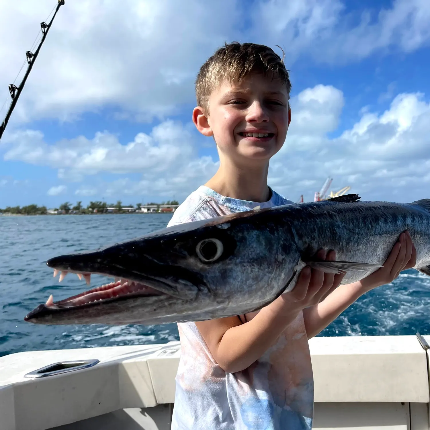 The most recent Great barracuda catches on Fishbrain