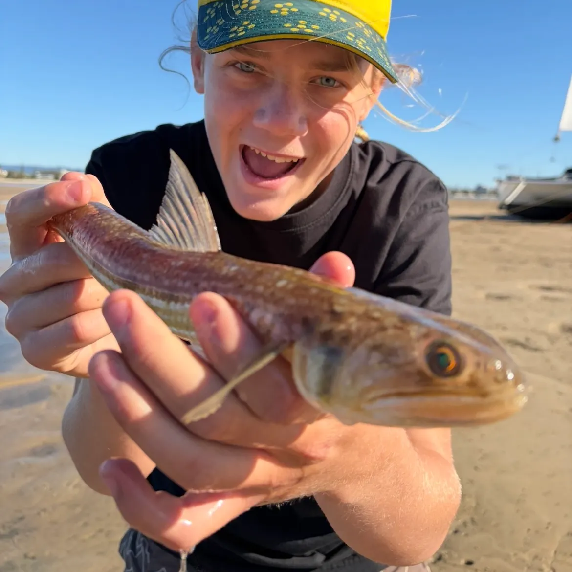 Inshore lizardfish caught on Fishbrain