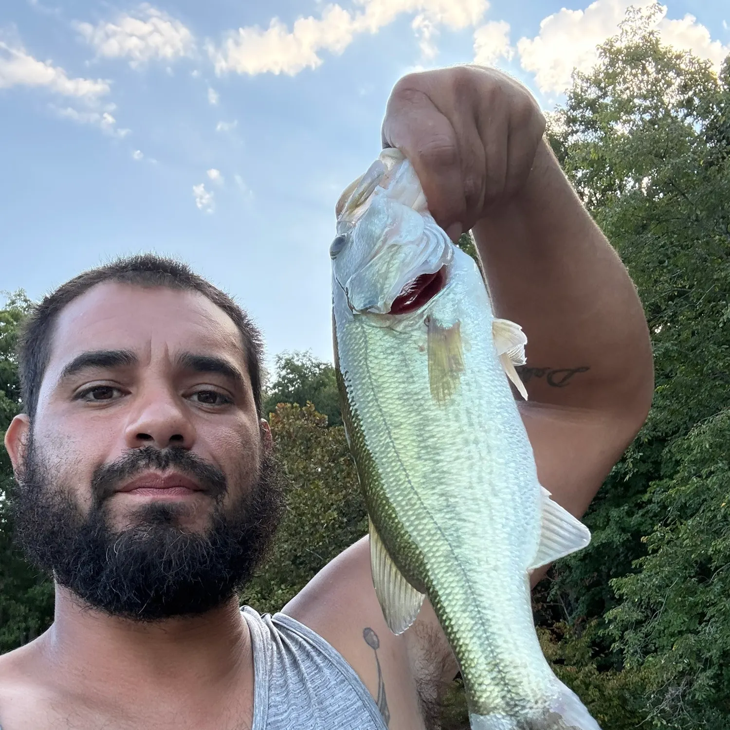 Largemouth bass caught on Fishbrain