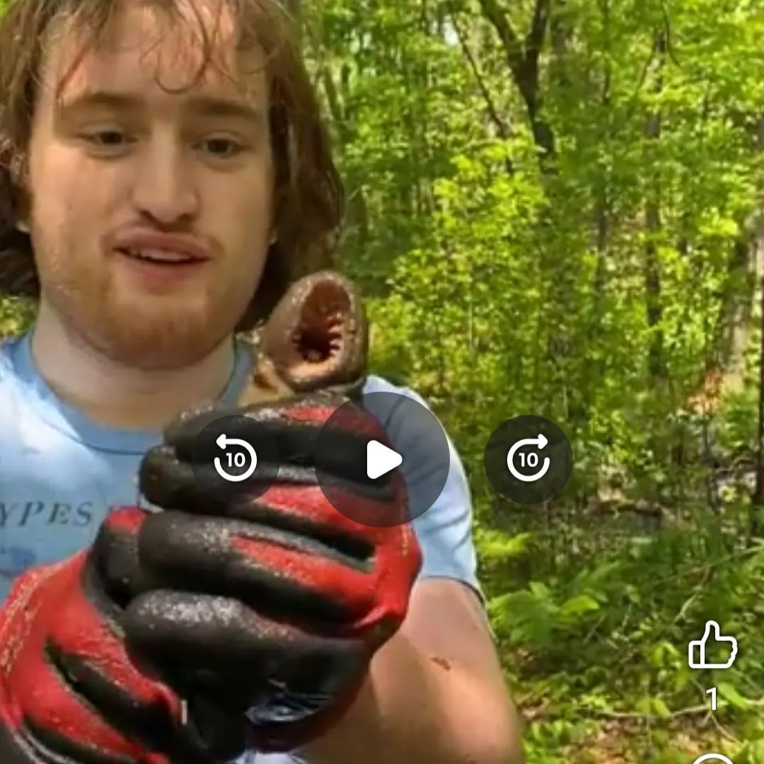 The most recent Sea lamprey catches on Fishbrain