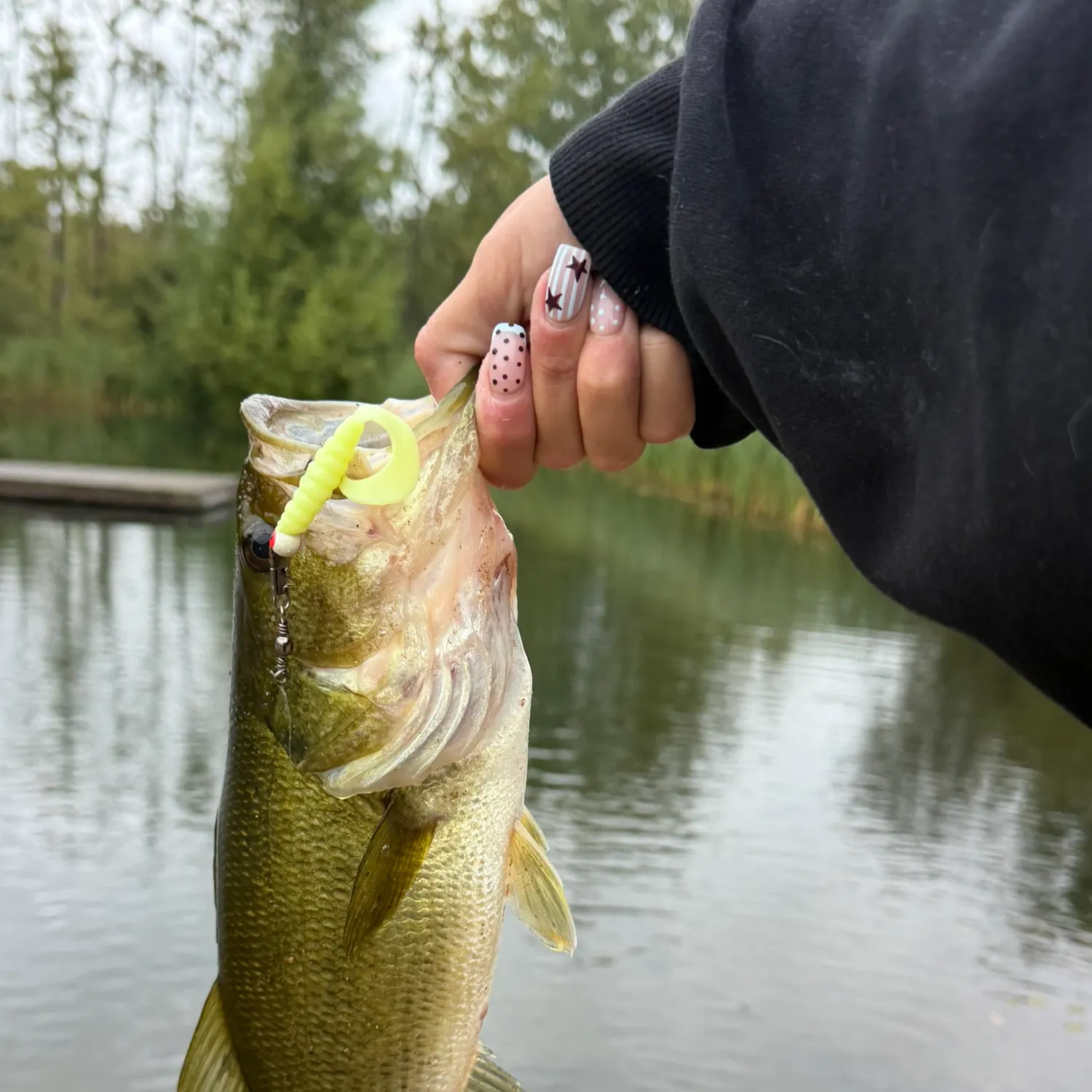 Largemouth bass caught on Fishbrain