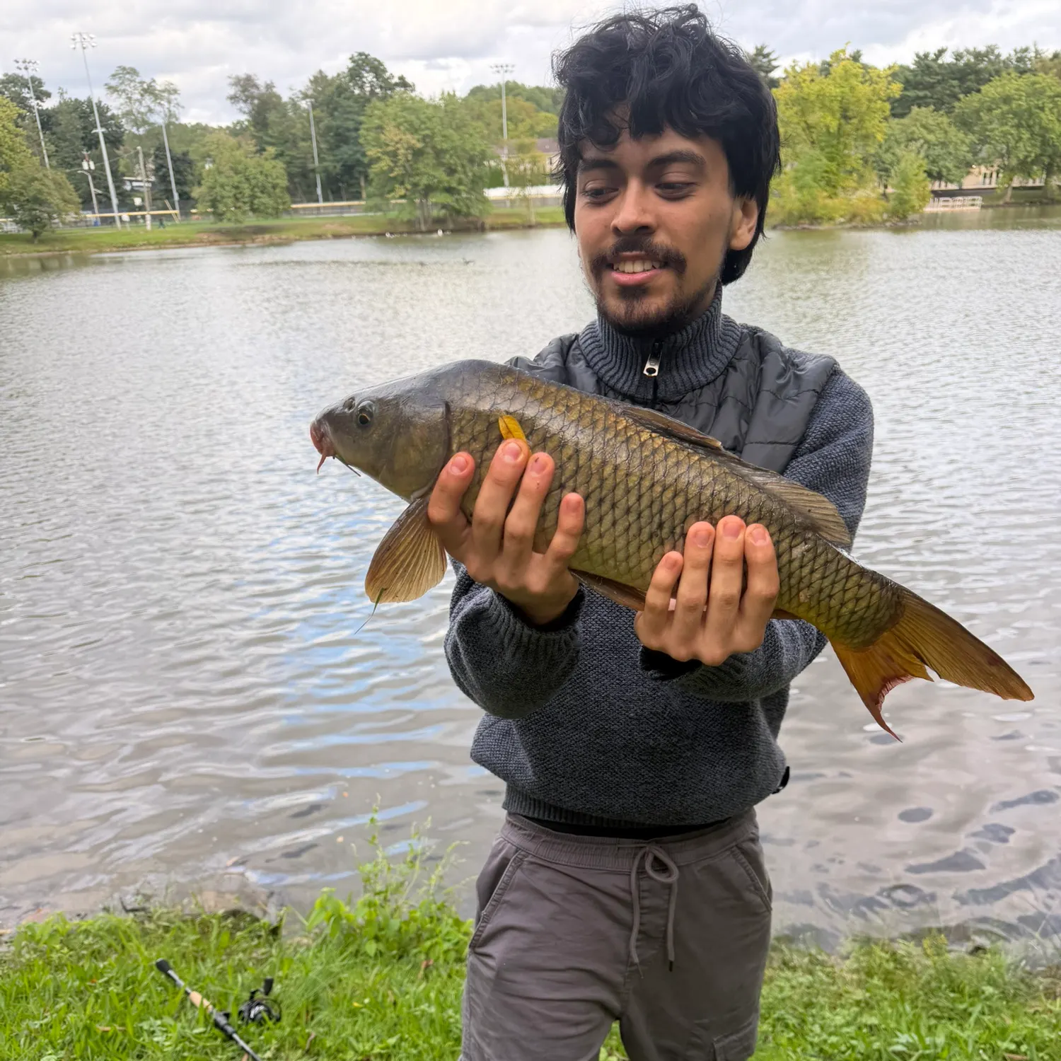 Common carp caught on Fishbrain