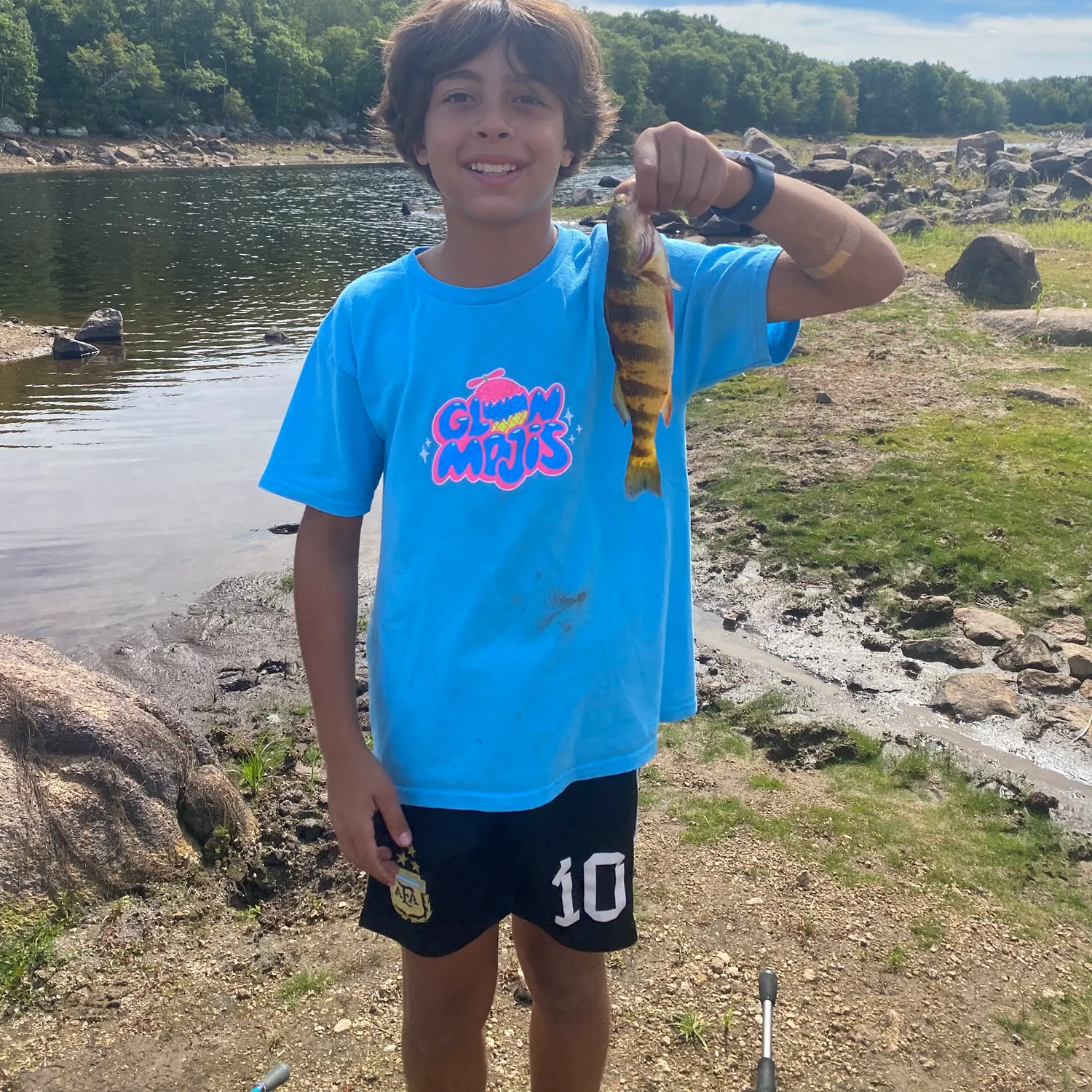 Yellow perch caught on Fishbrain
