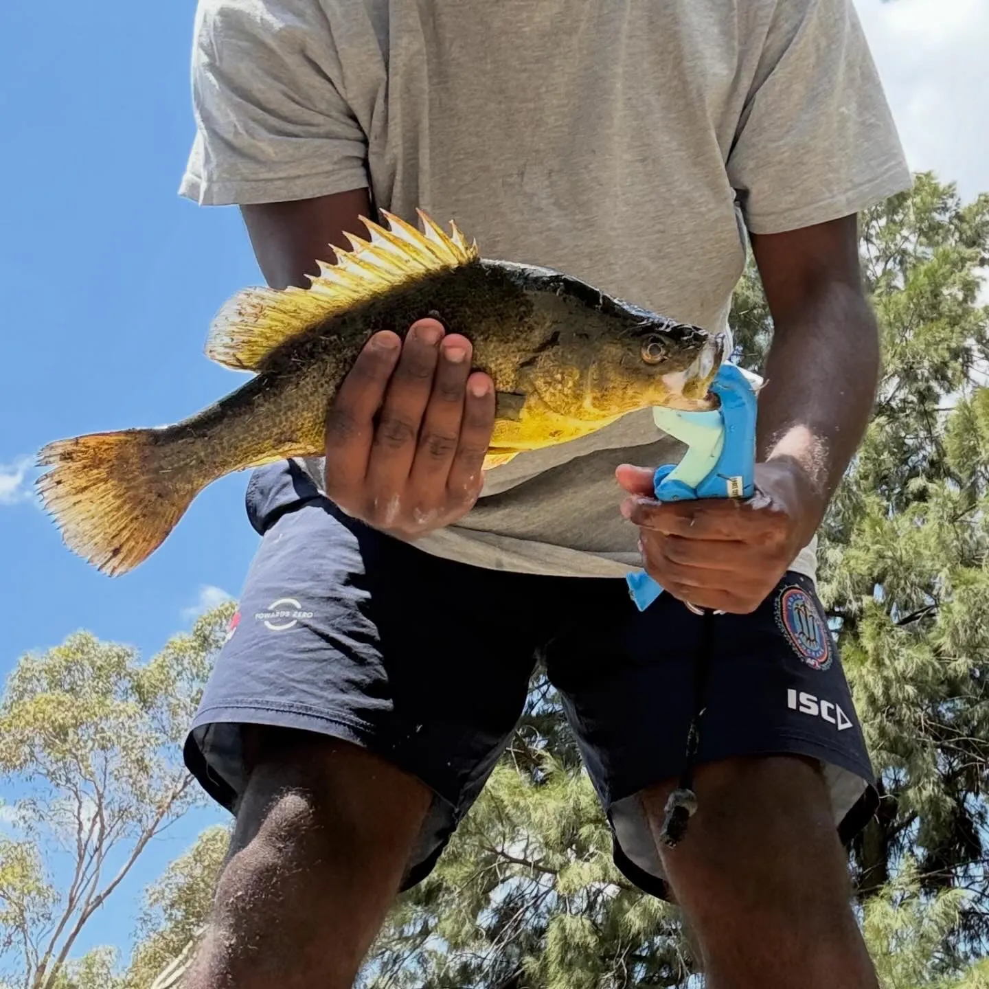 catch