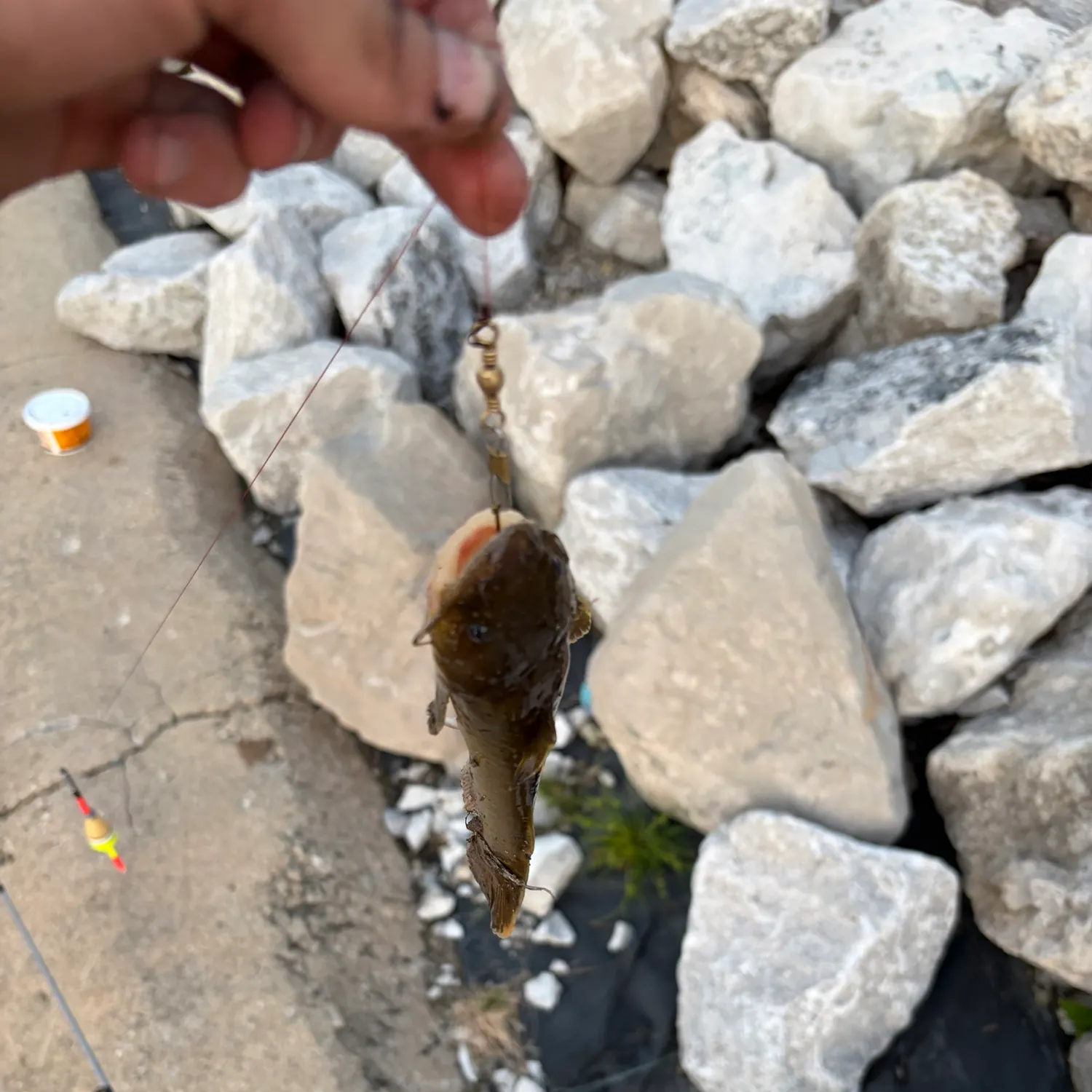catch