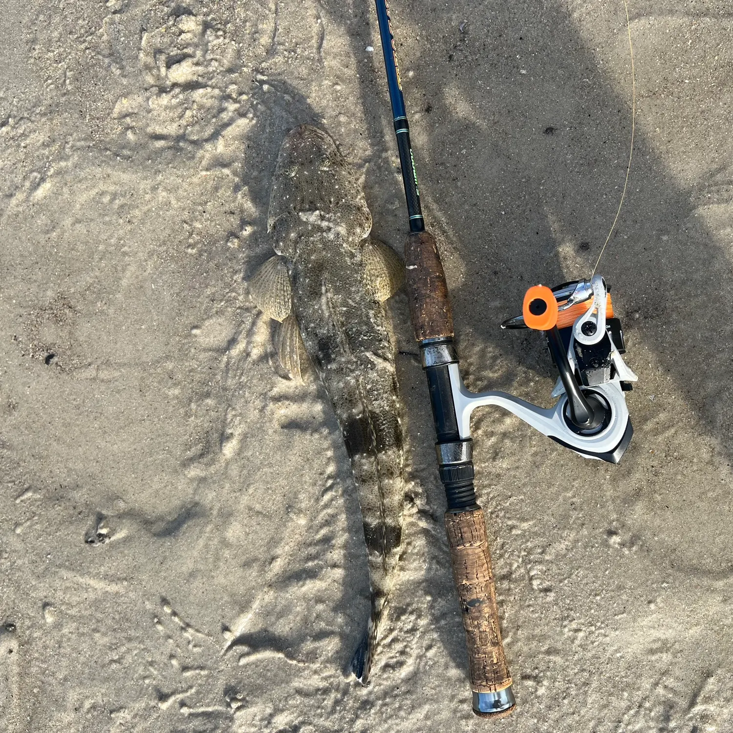 Dusky flathead caught on Fishbrain