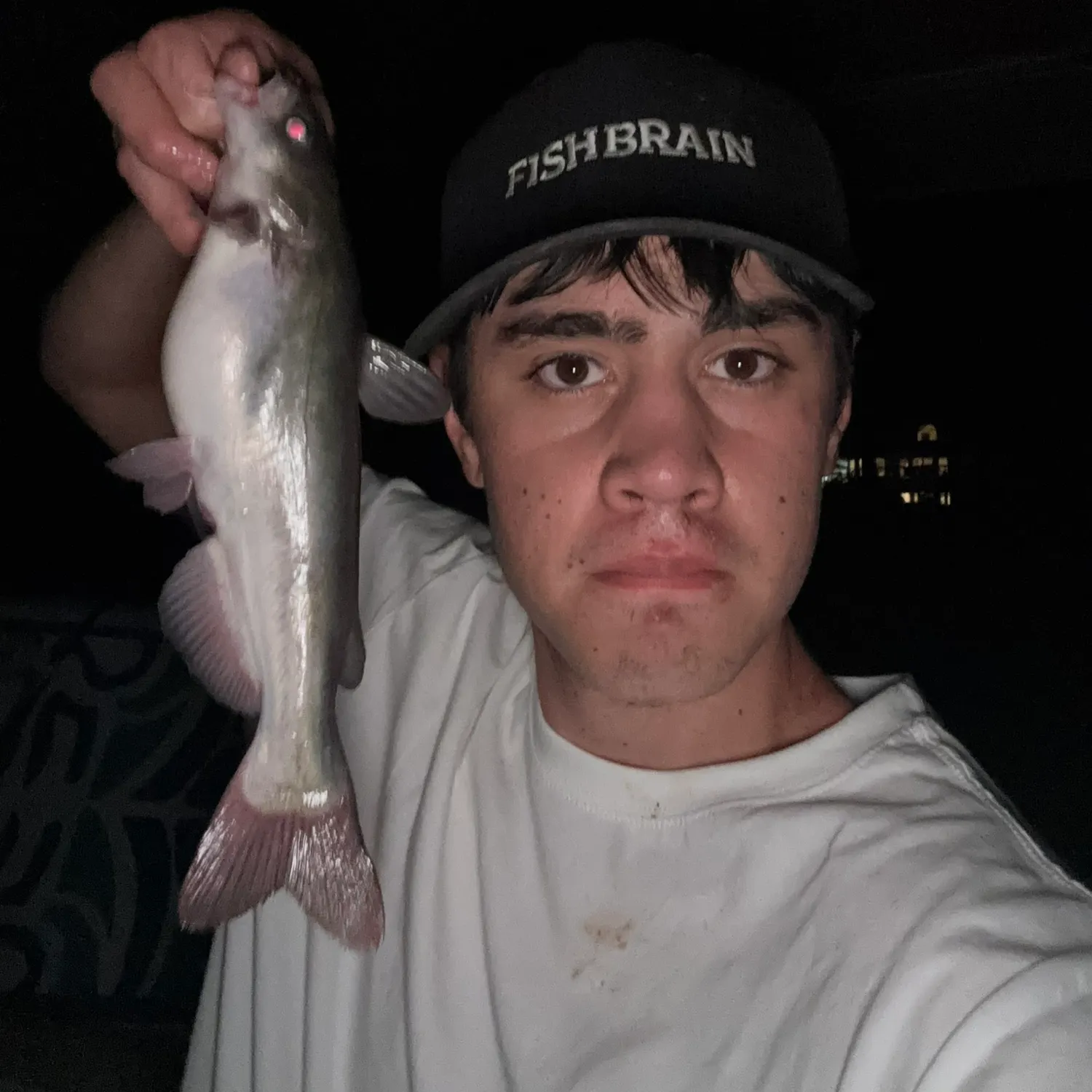 The most recent White bullhead catches on Fishbrain