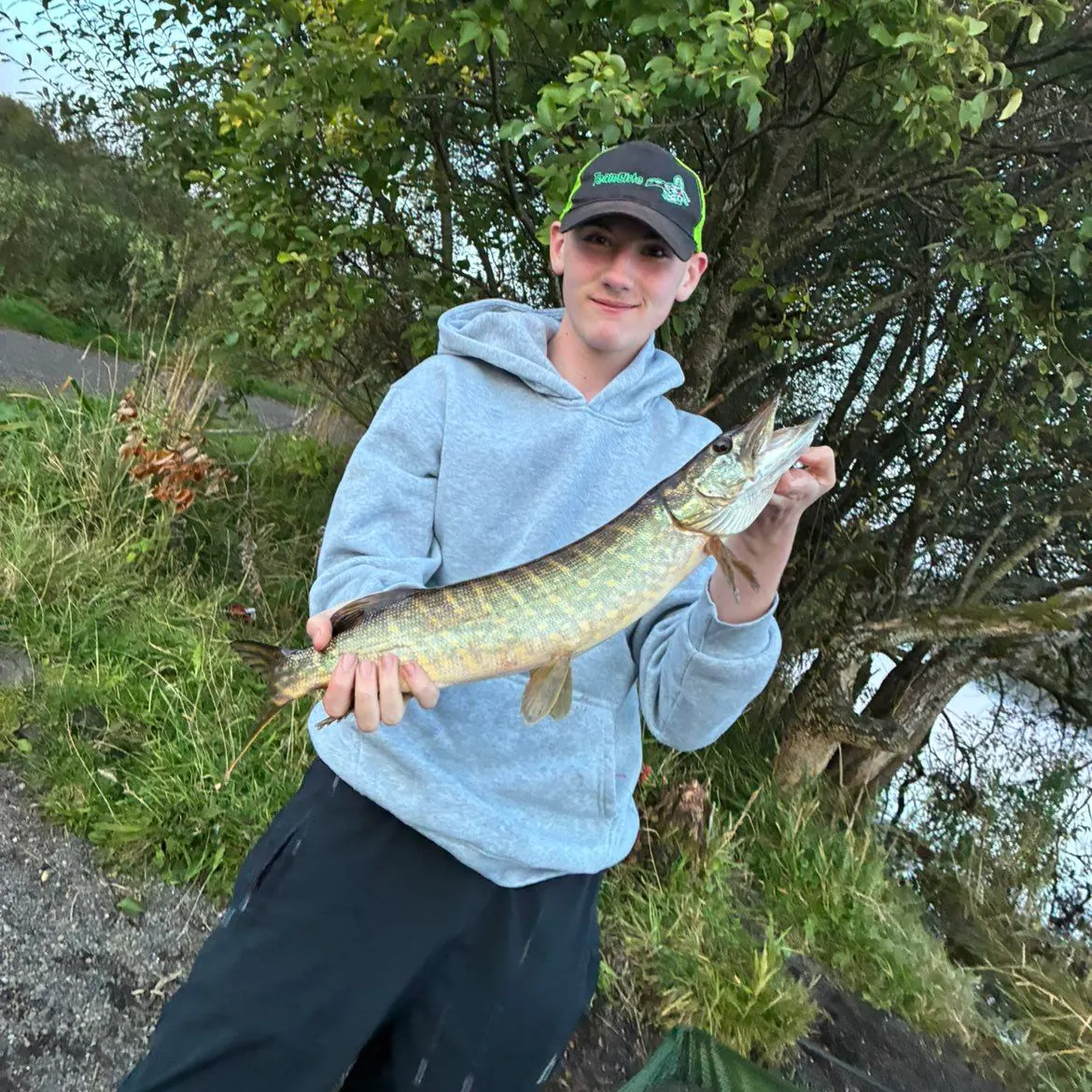 Northern pike caught on Fishbrain