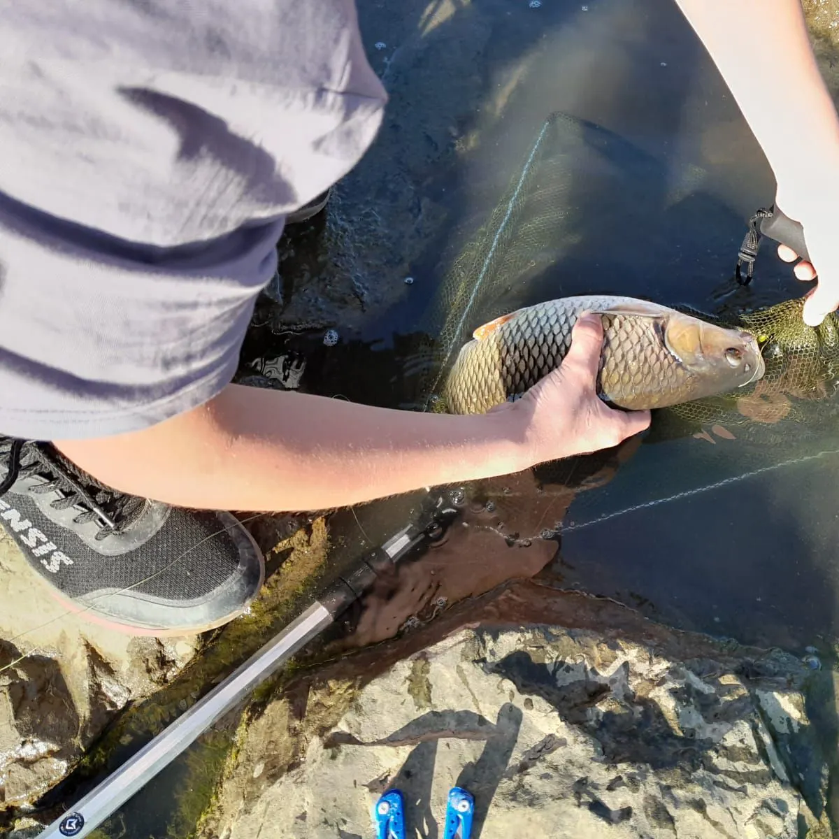 most liked catch image