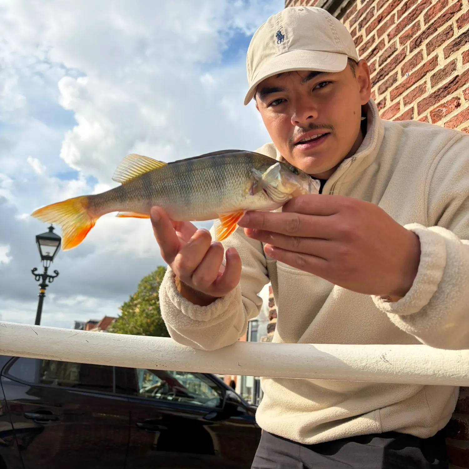 European perch caught on Fishbrain