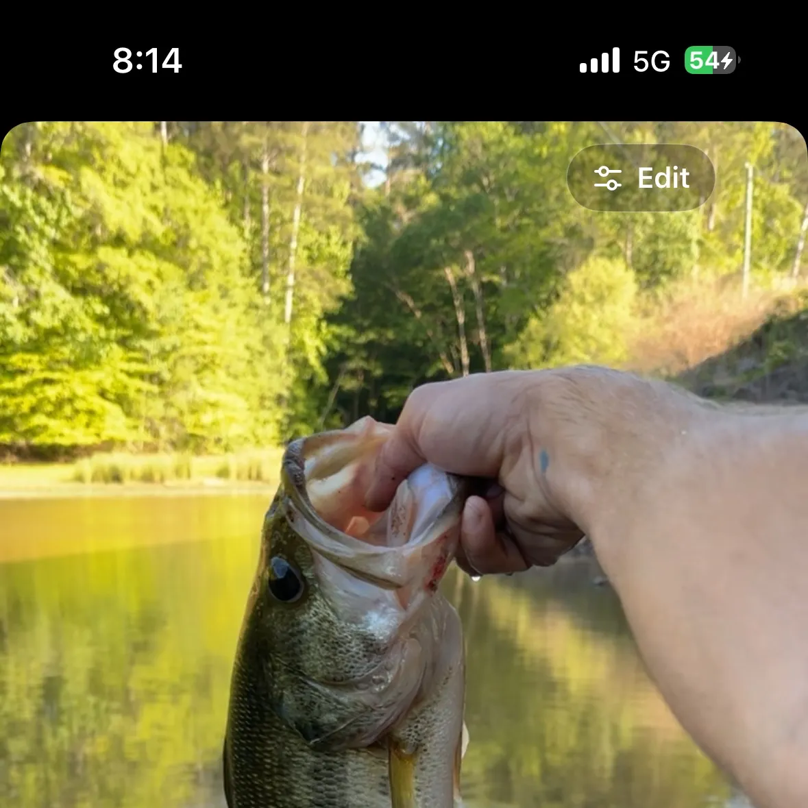 recently logged catches