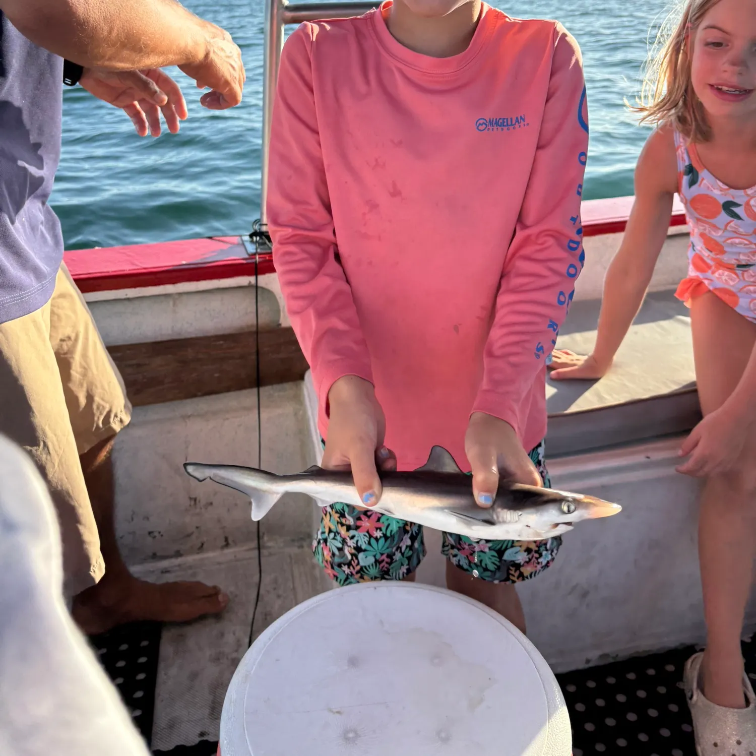The most recent Pacific sharpnose shark catches on Fishbrain