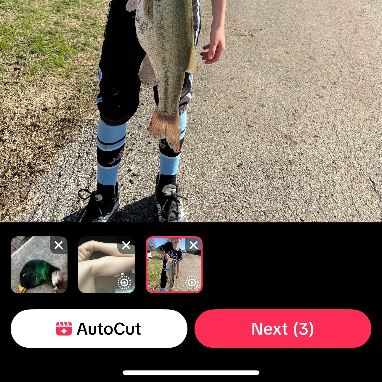 recently logged catches