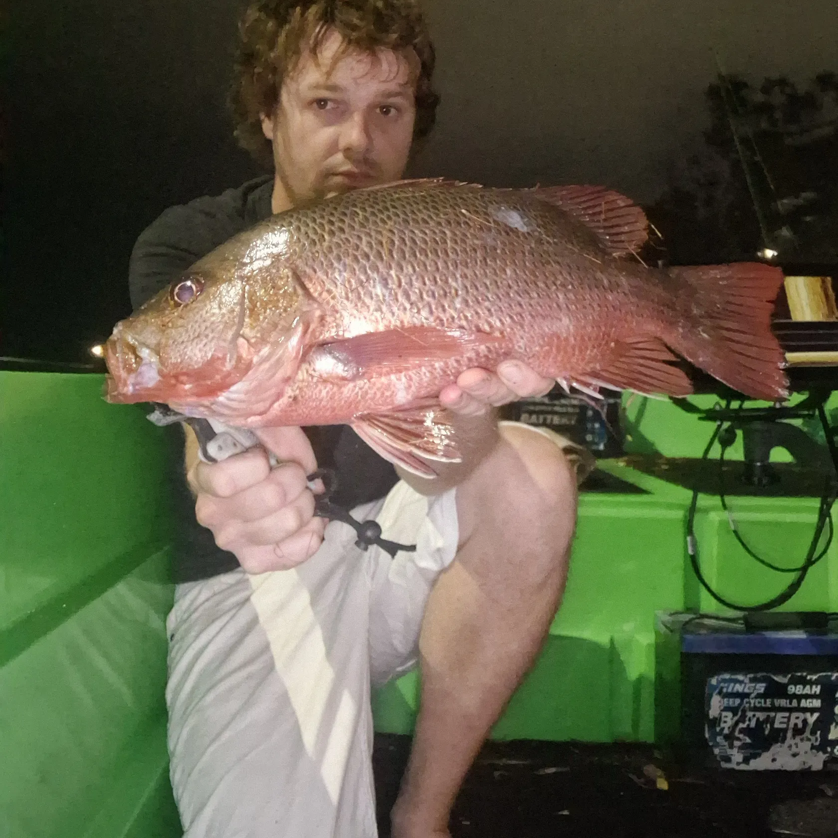 Mangrove red snapper caught on Fishbrain