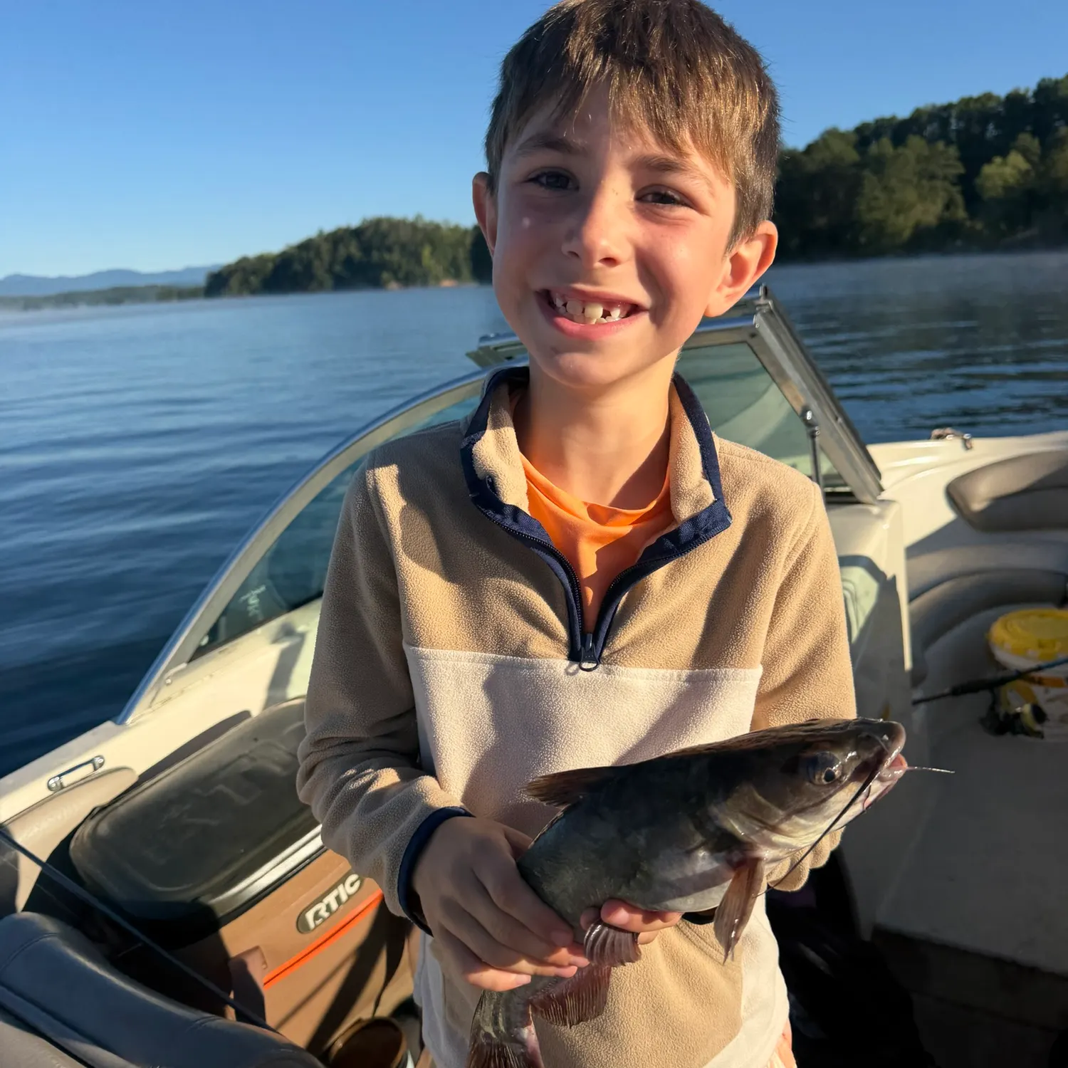 Channel catfish caught on Fishbrain