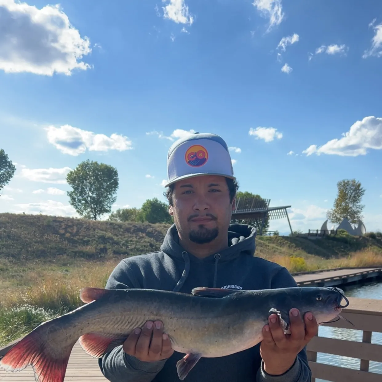 Channel catfish caught on Fishbrain