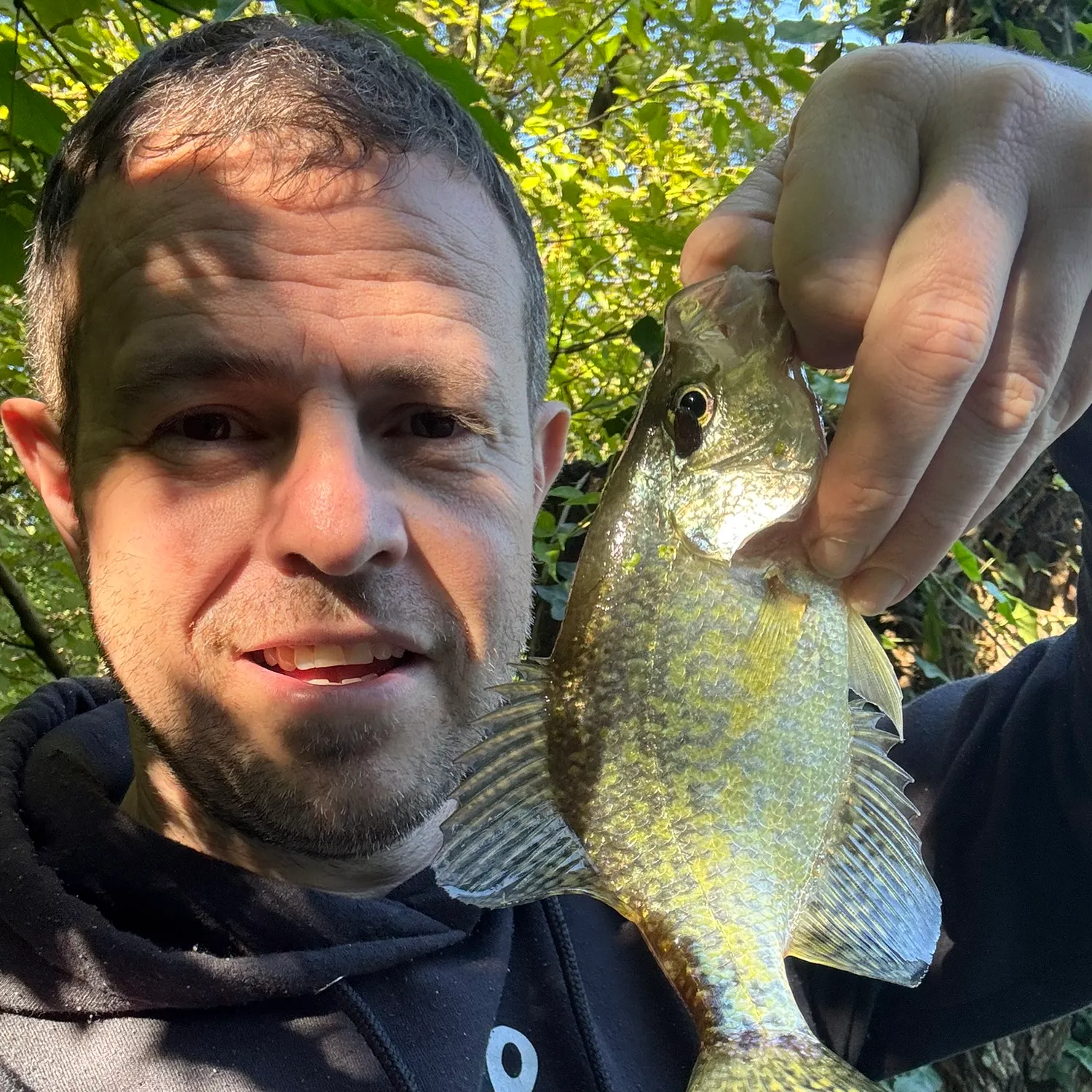 Black crappie caught on Fishbrain