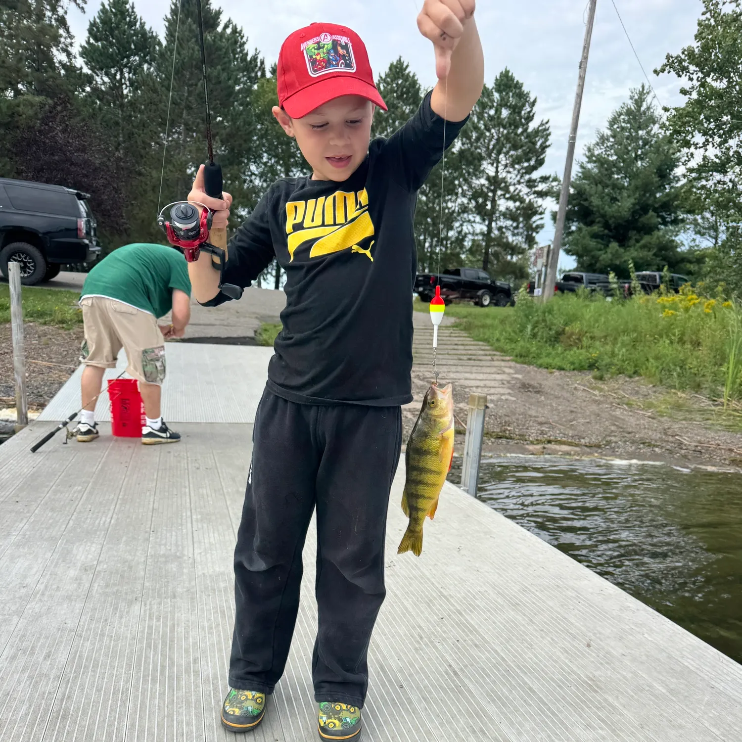 Yellow perch caught on Fishbrain