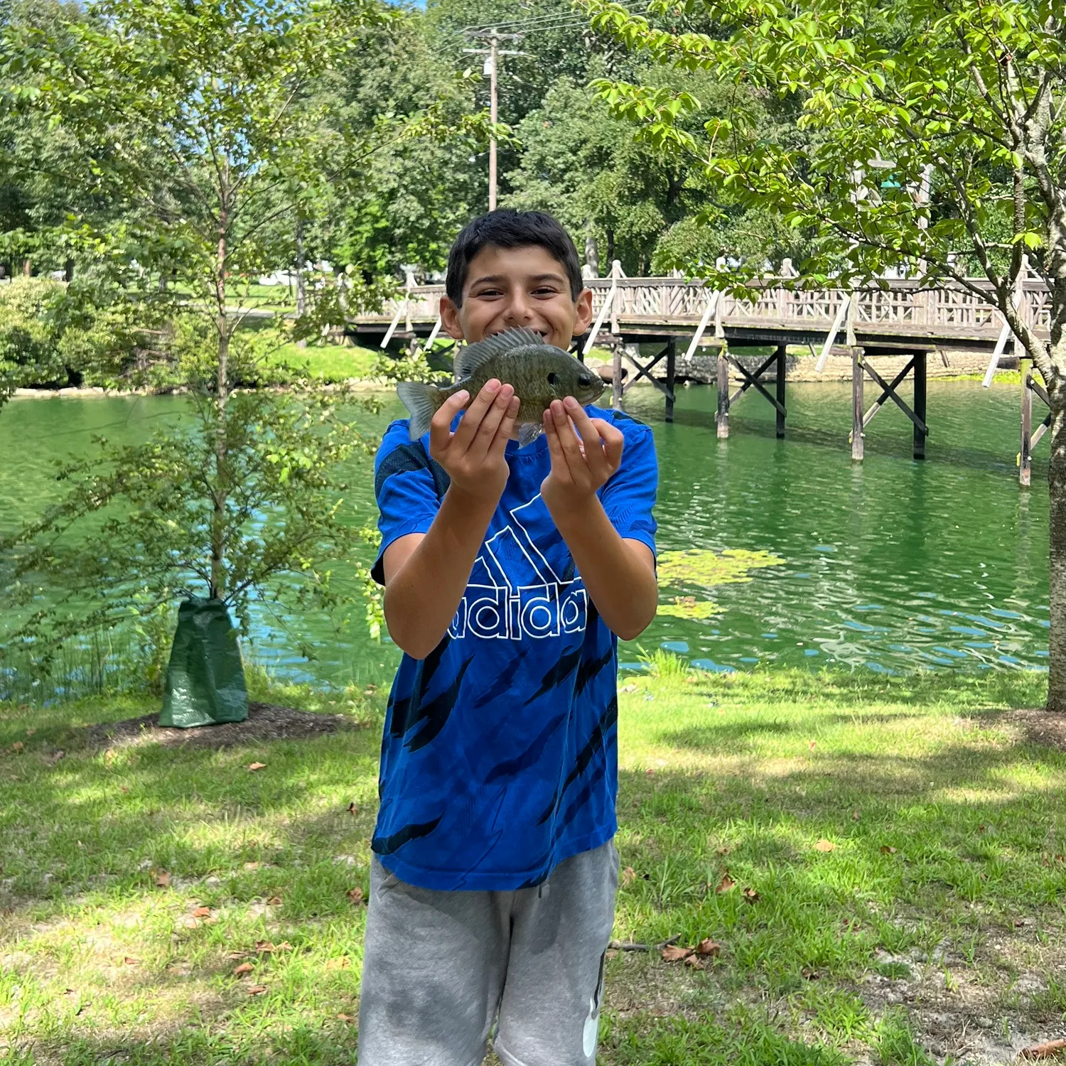 angler catch